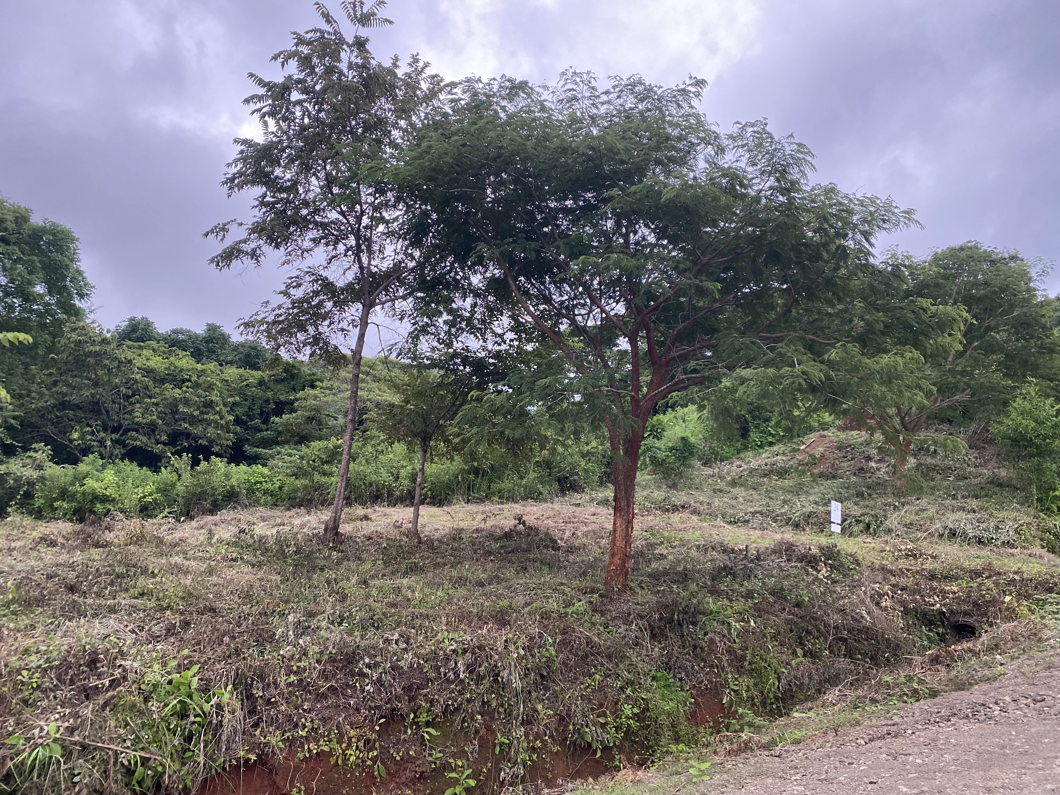 0 bed Land For Sale in Nosara, Guanacaste - thumb 4