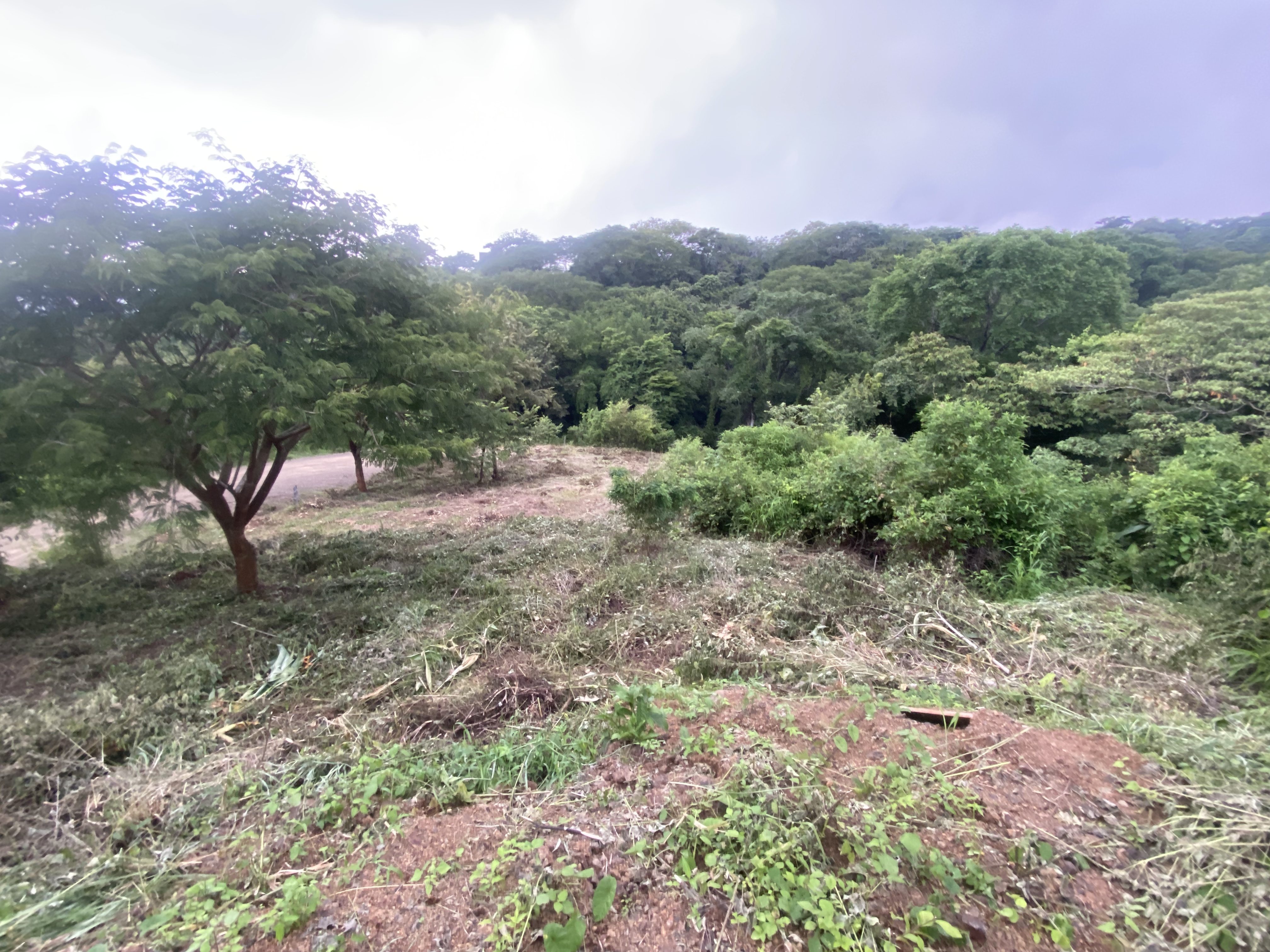 0 bed Land For Sale in Nosara, Guanacaste - thumb 7