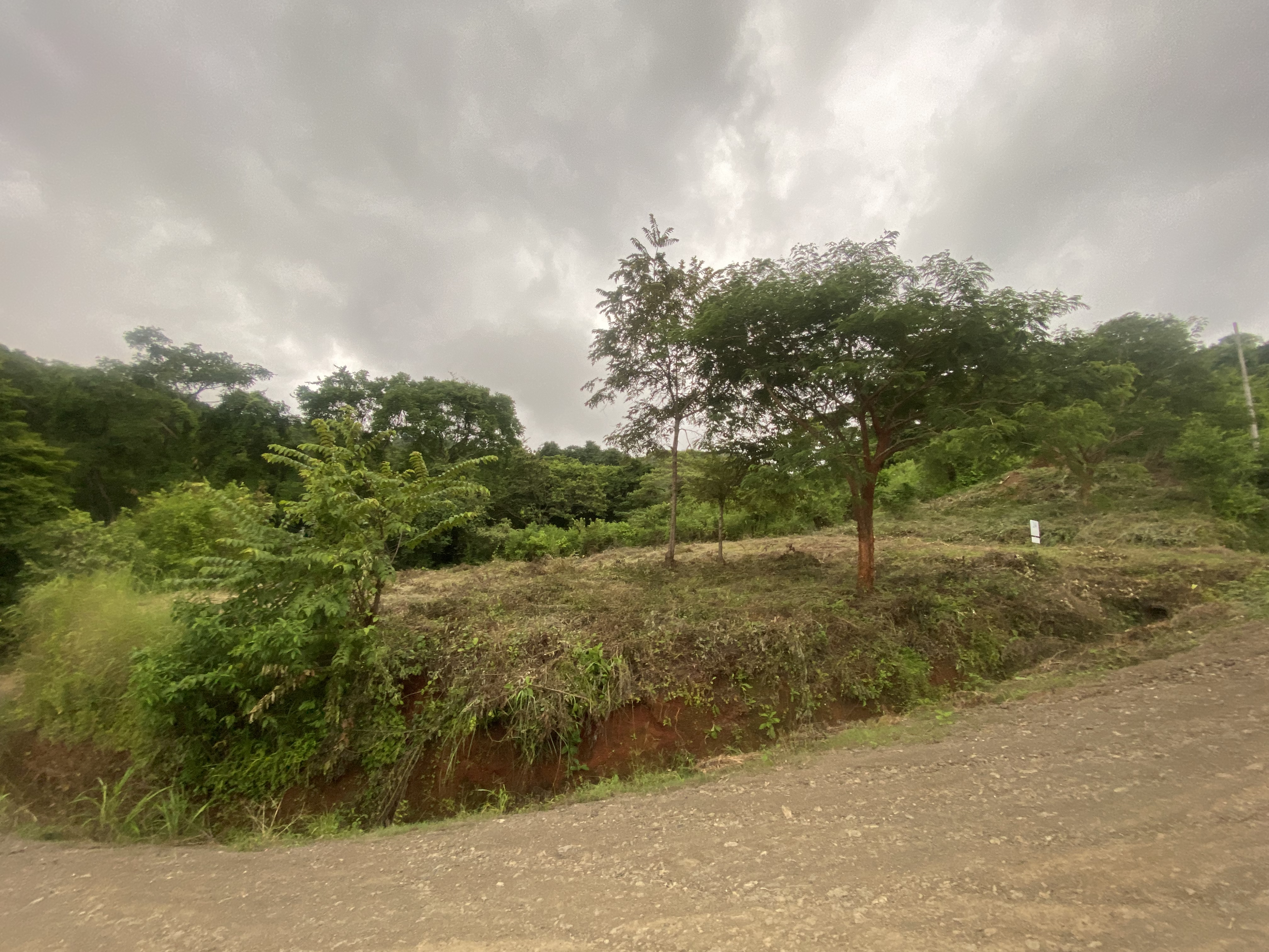 0 bed Land For Sale in Nosara, Guanacaste - thumb 6
