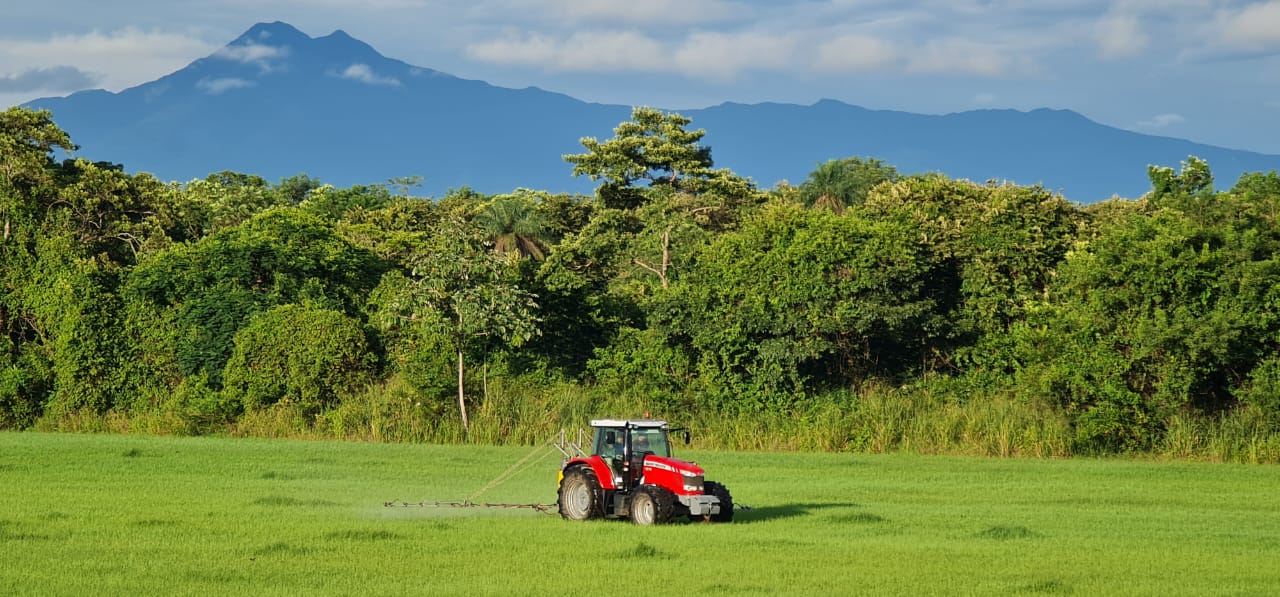 6 bed Land For Sale in Liberia, Guanacaste - thumb 1