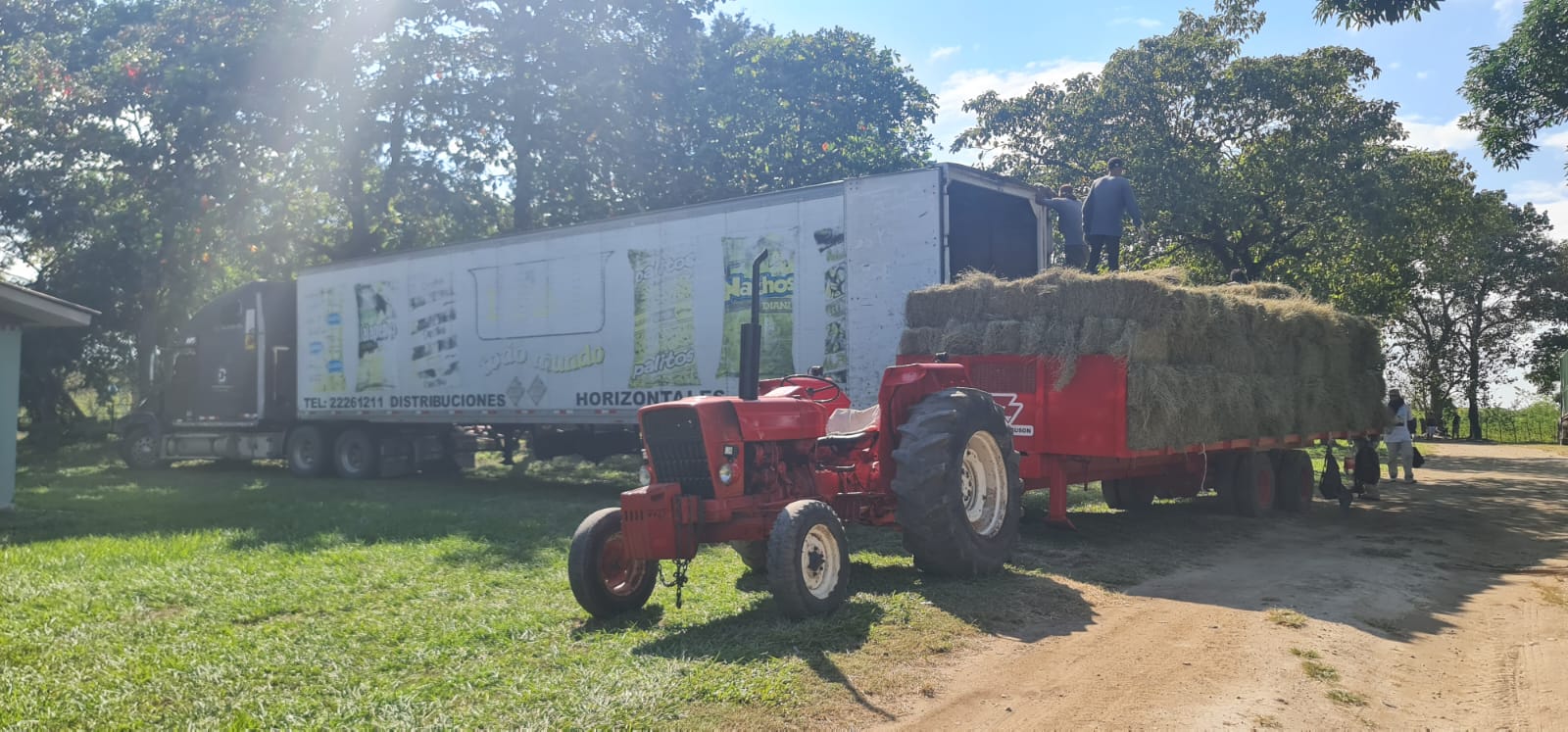 6 bed Land For Sale in Liberia, Guanacaste - thumb 3