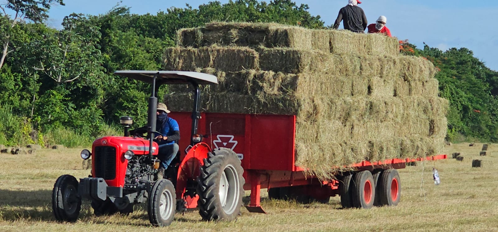 6 bed Land For Sale in Liberia, Guanacaste - thumb 4