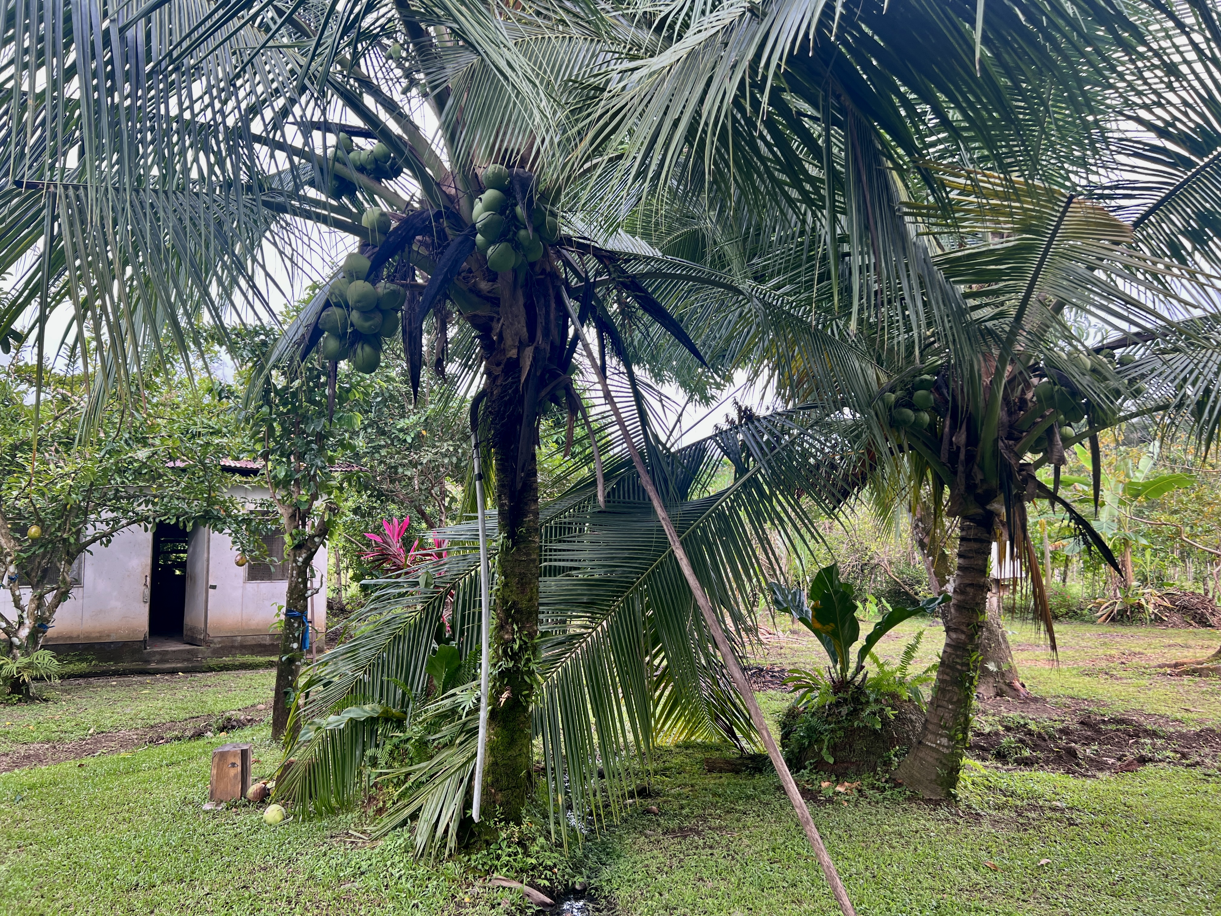 0 bed Land For Sale in Quepos, Puntarenas - thumb 2