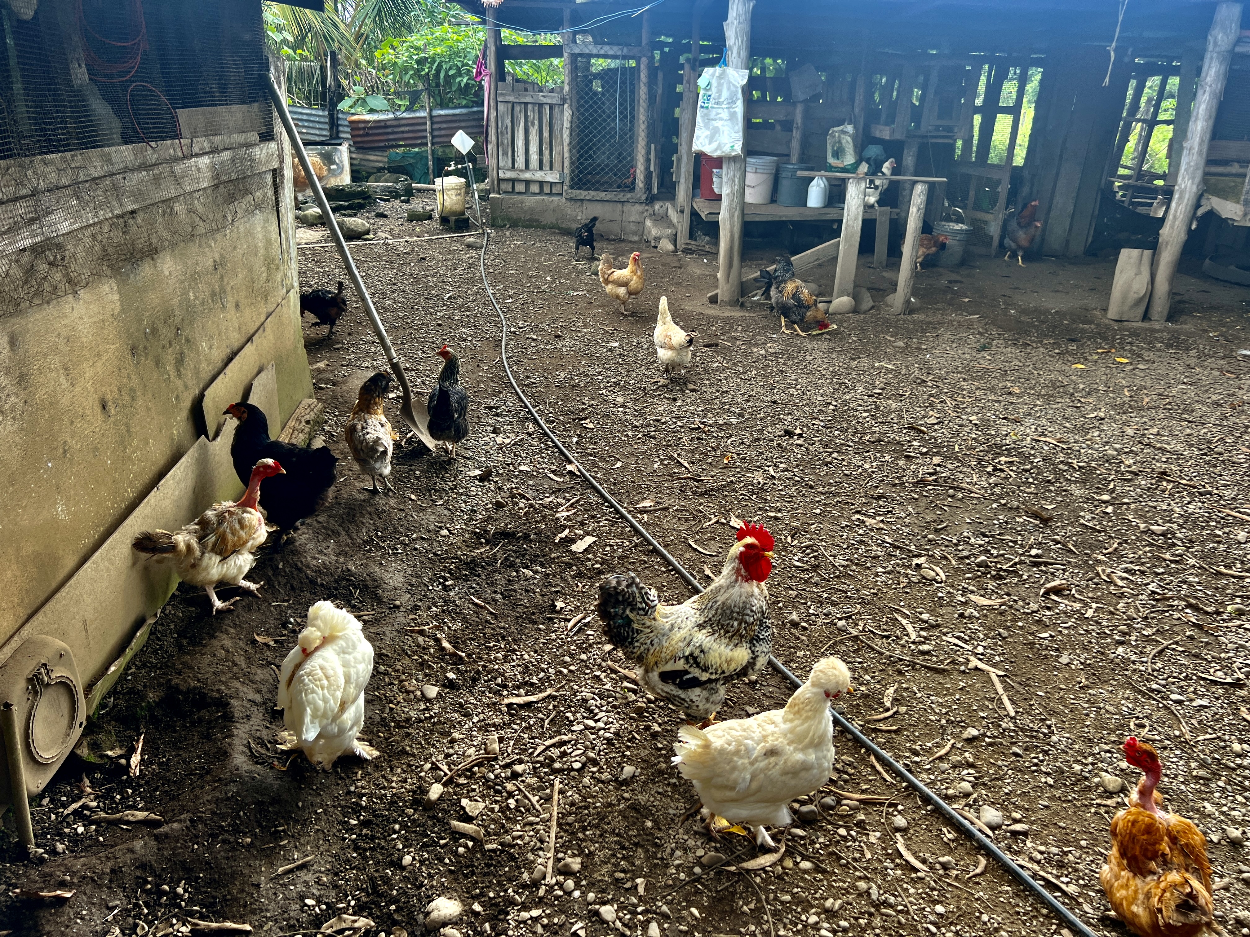 0 bed Land For Sale in Quepos, Puntarenas - thumb 9