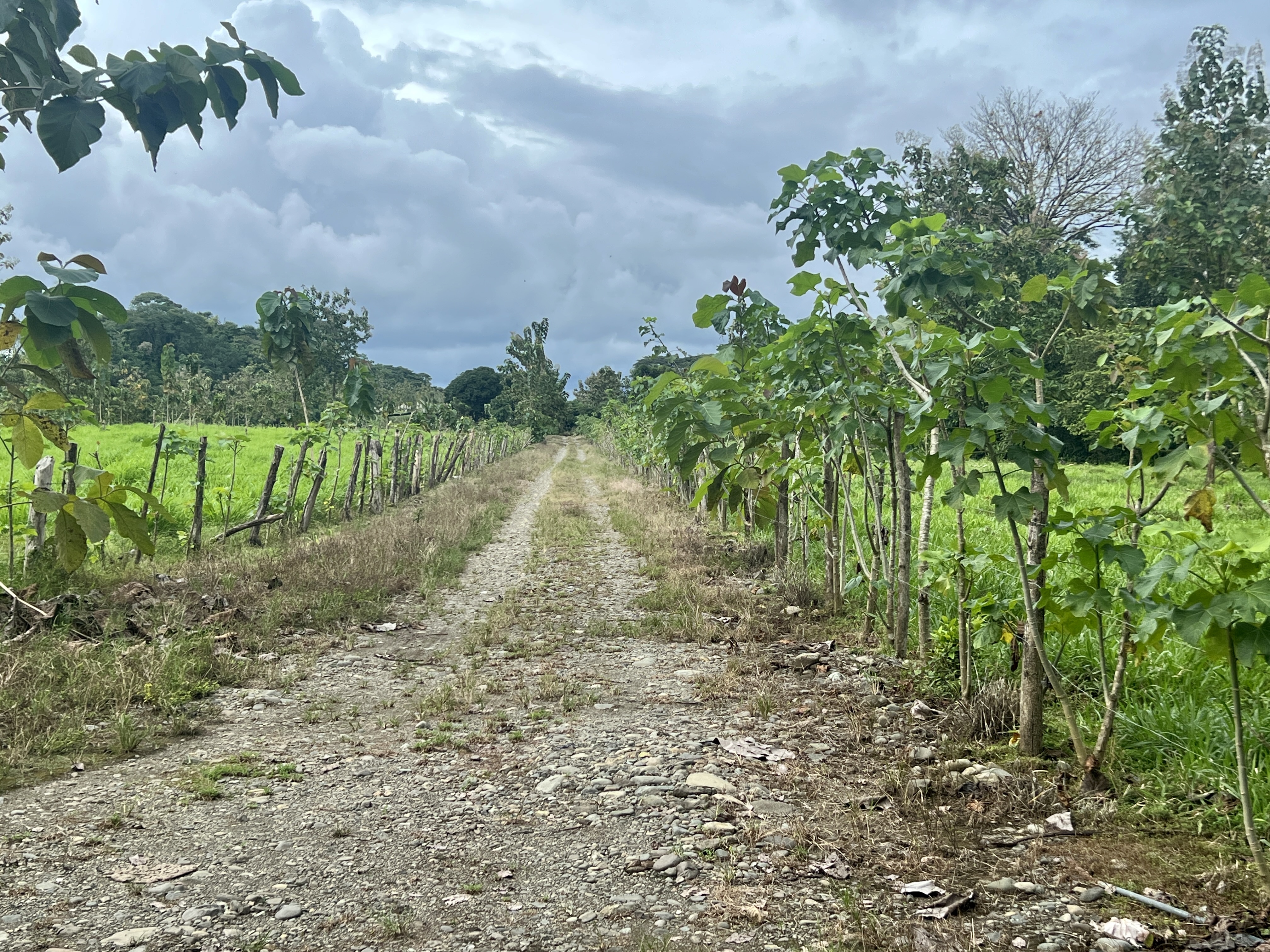 0 bed Land For Sale in Quepos, Puntarenas - thumb 1