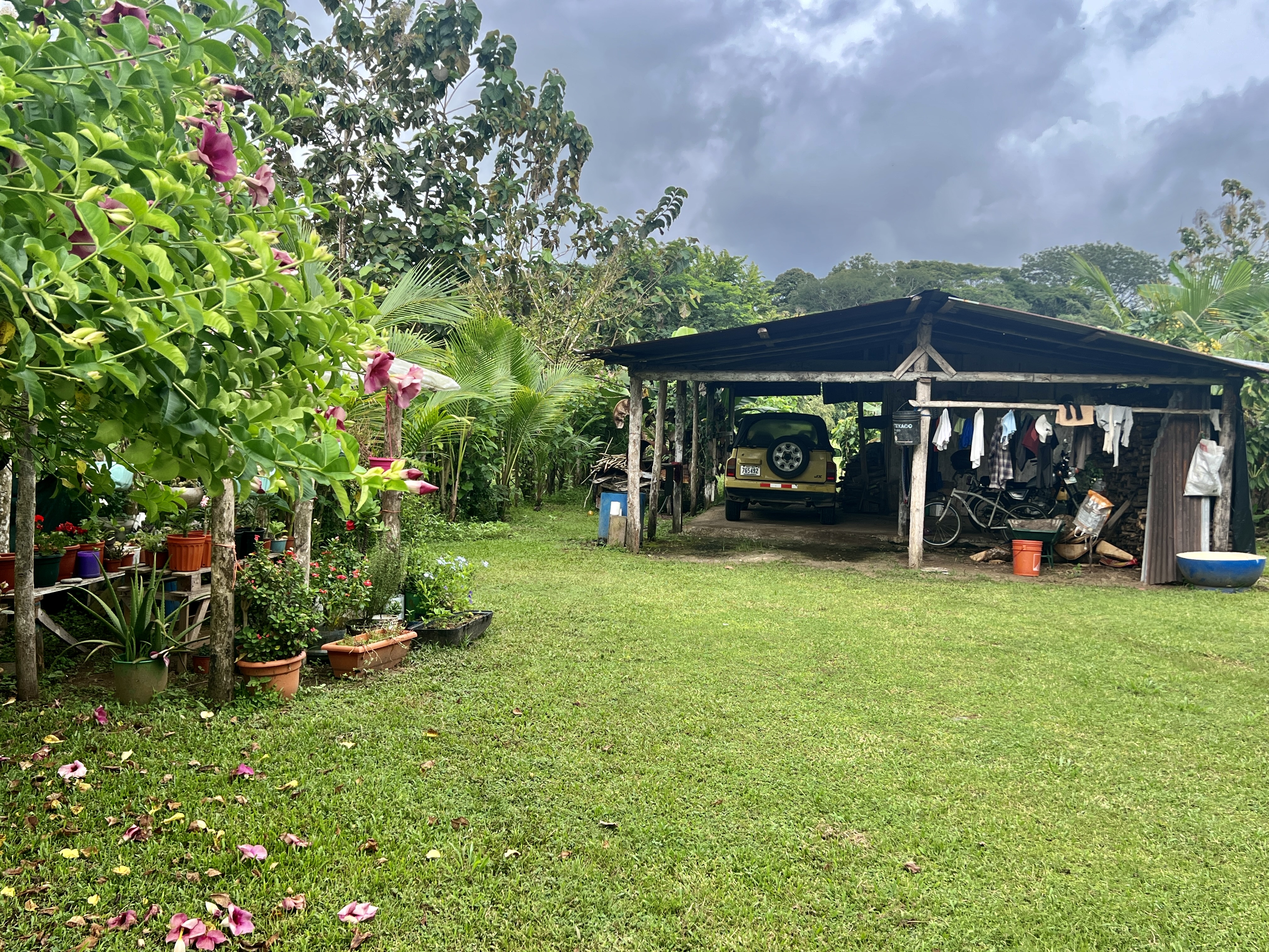 0 bed Land For Sale in Quepos, Puntarenas - thumb 10