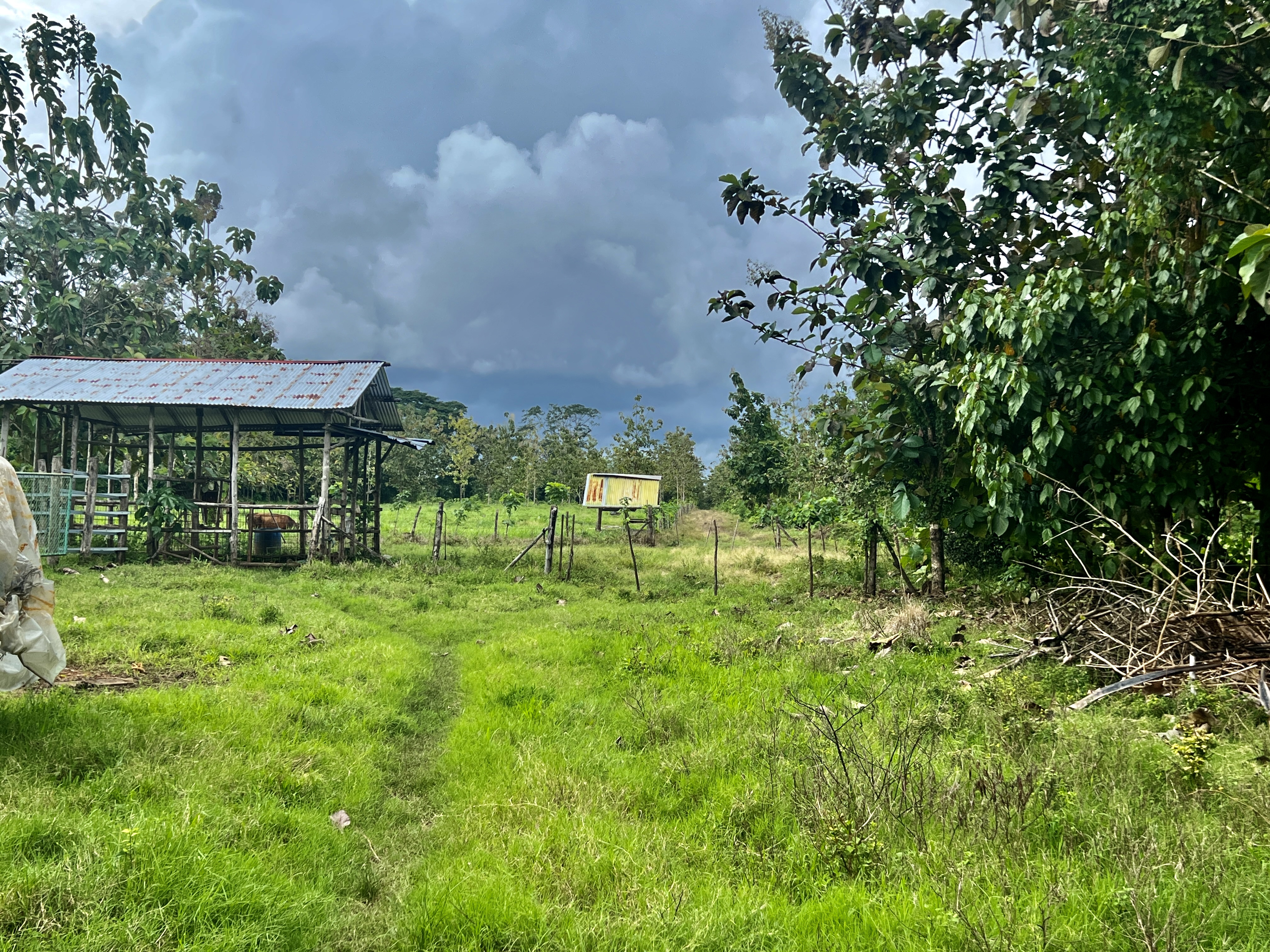 0 bed Land For Sale in Quepos, Puntarenas - thumb 7