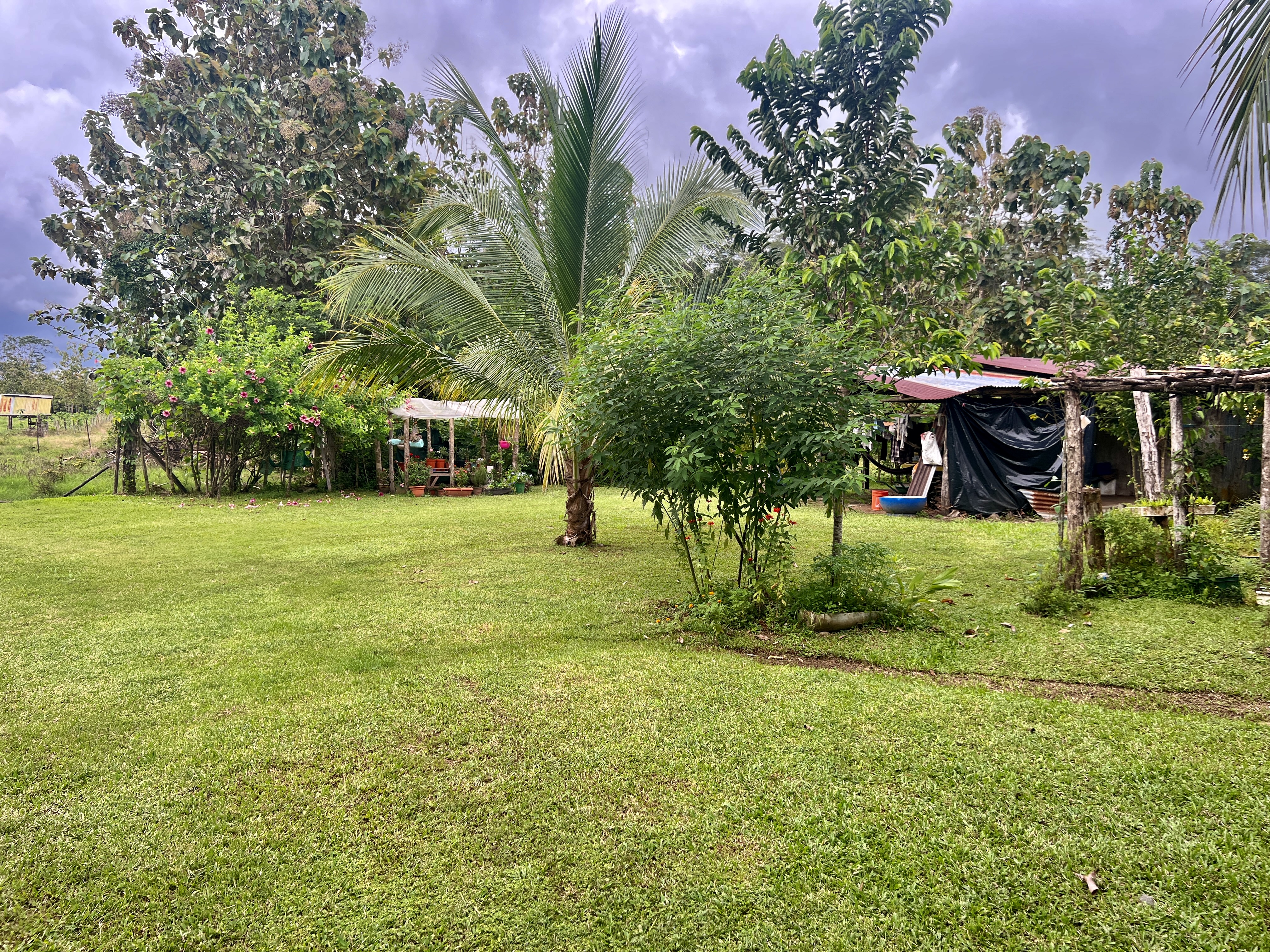 0 bed Land For Sale in Quepos, Puntarenas - thumb 3