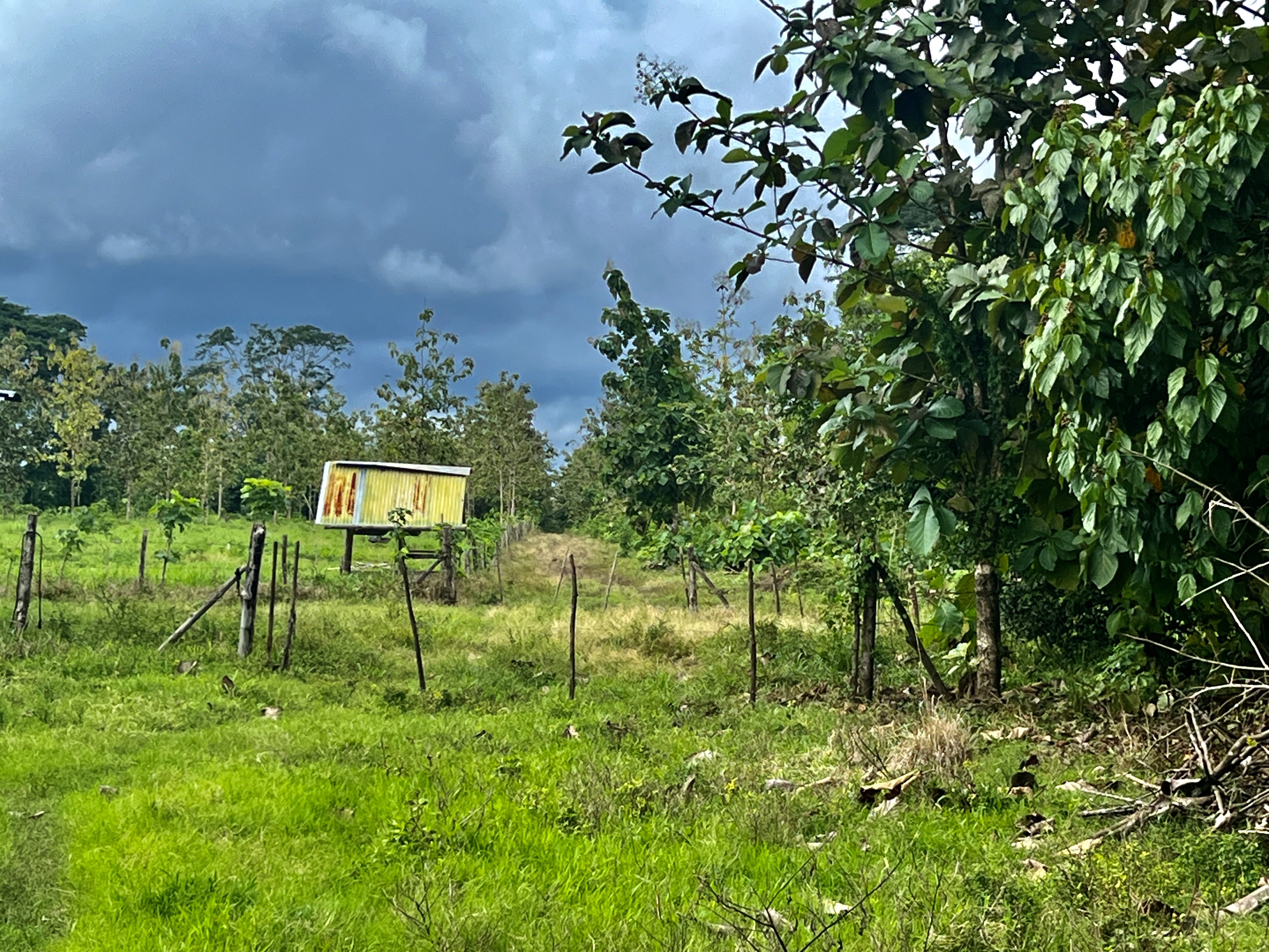 0 bed Land For Sale in Quepos, Puntarenas - thumb 8