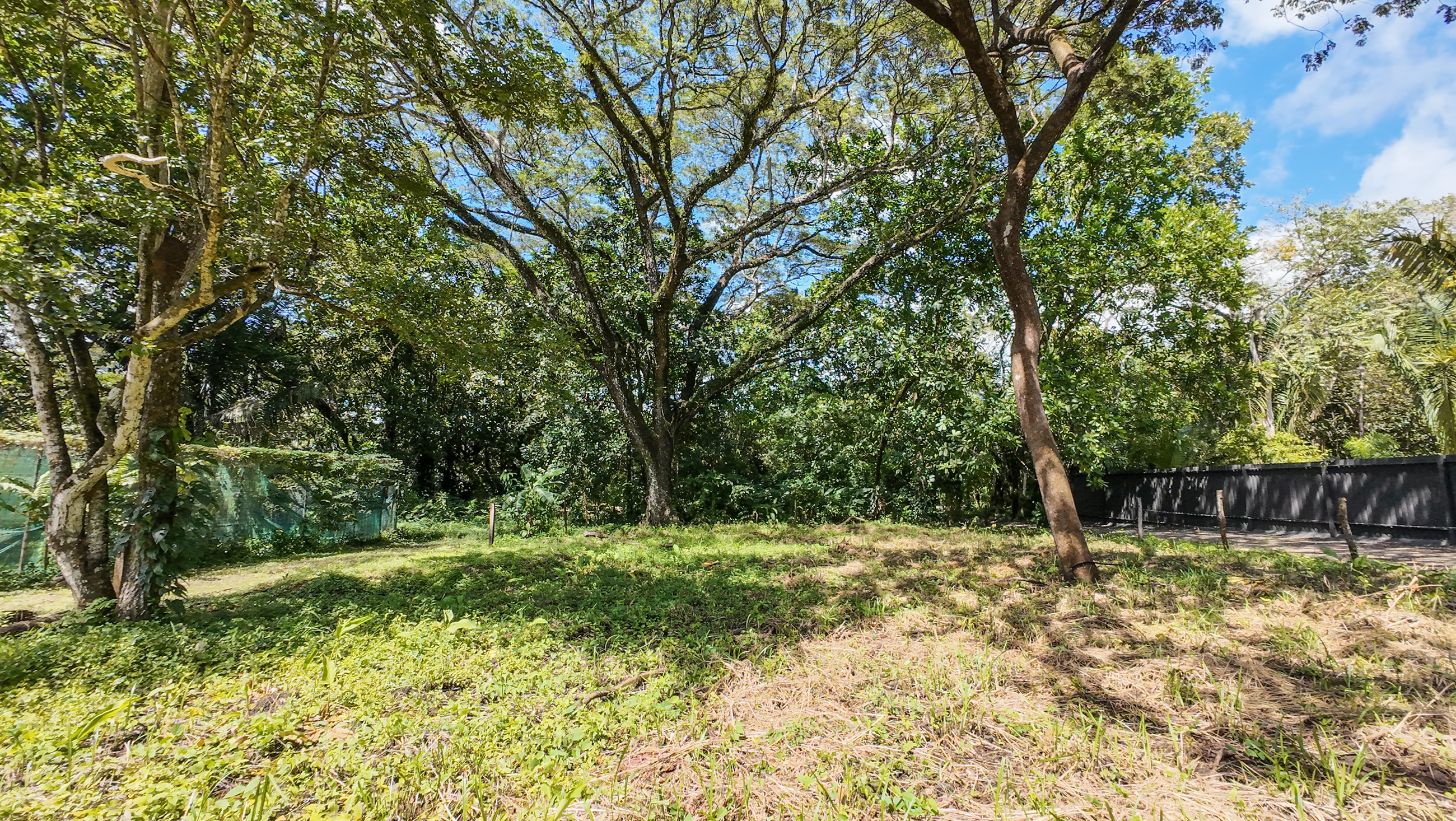 0 bed Land For Sale in Nosara, Guanacaste - thumb 1