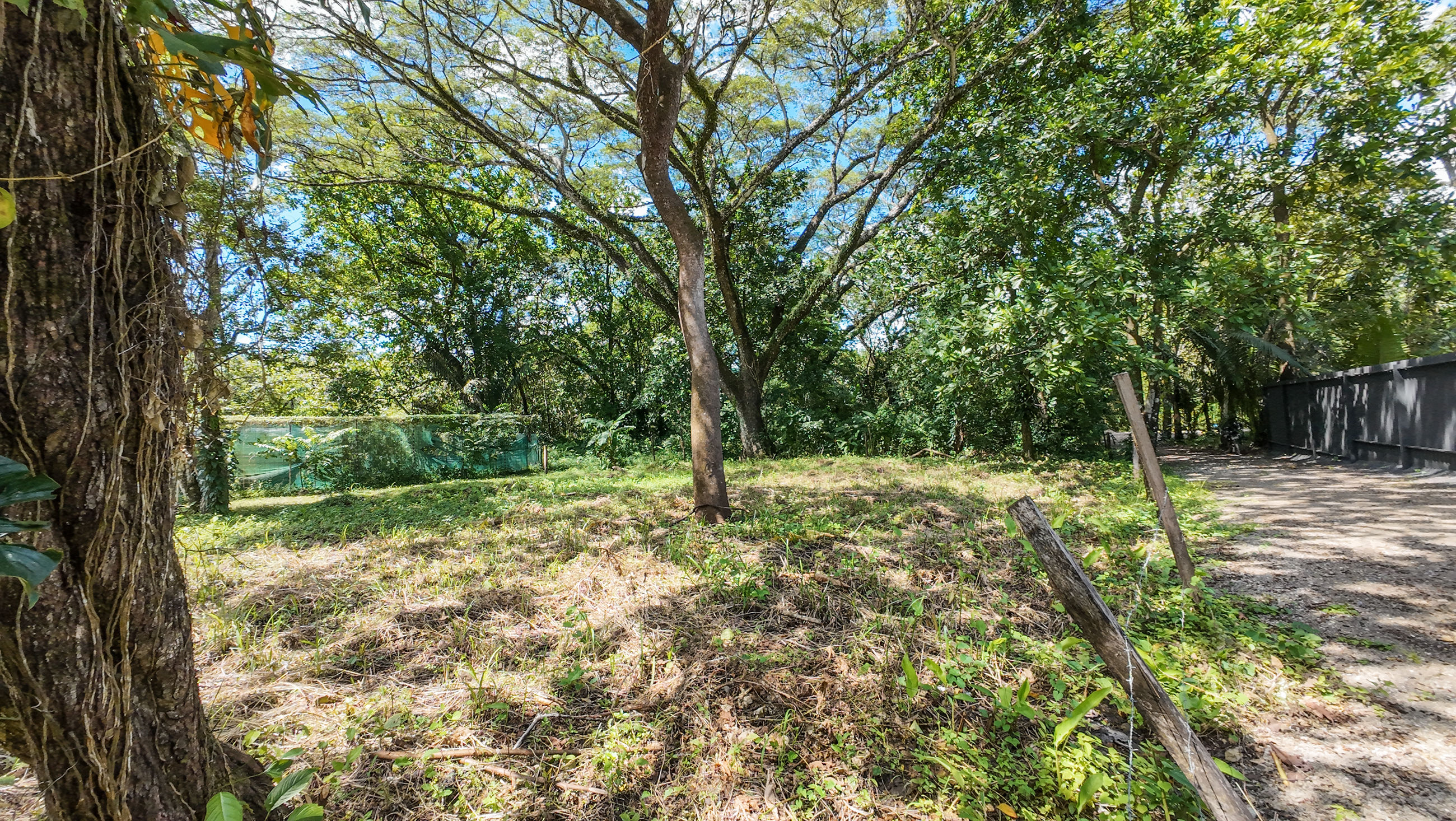 0 bed Land For Sale in Nosara, Guanacaste - thumb 8
