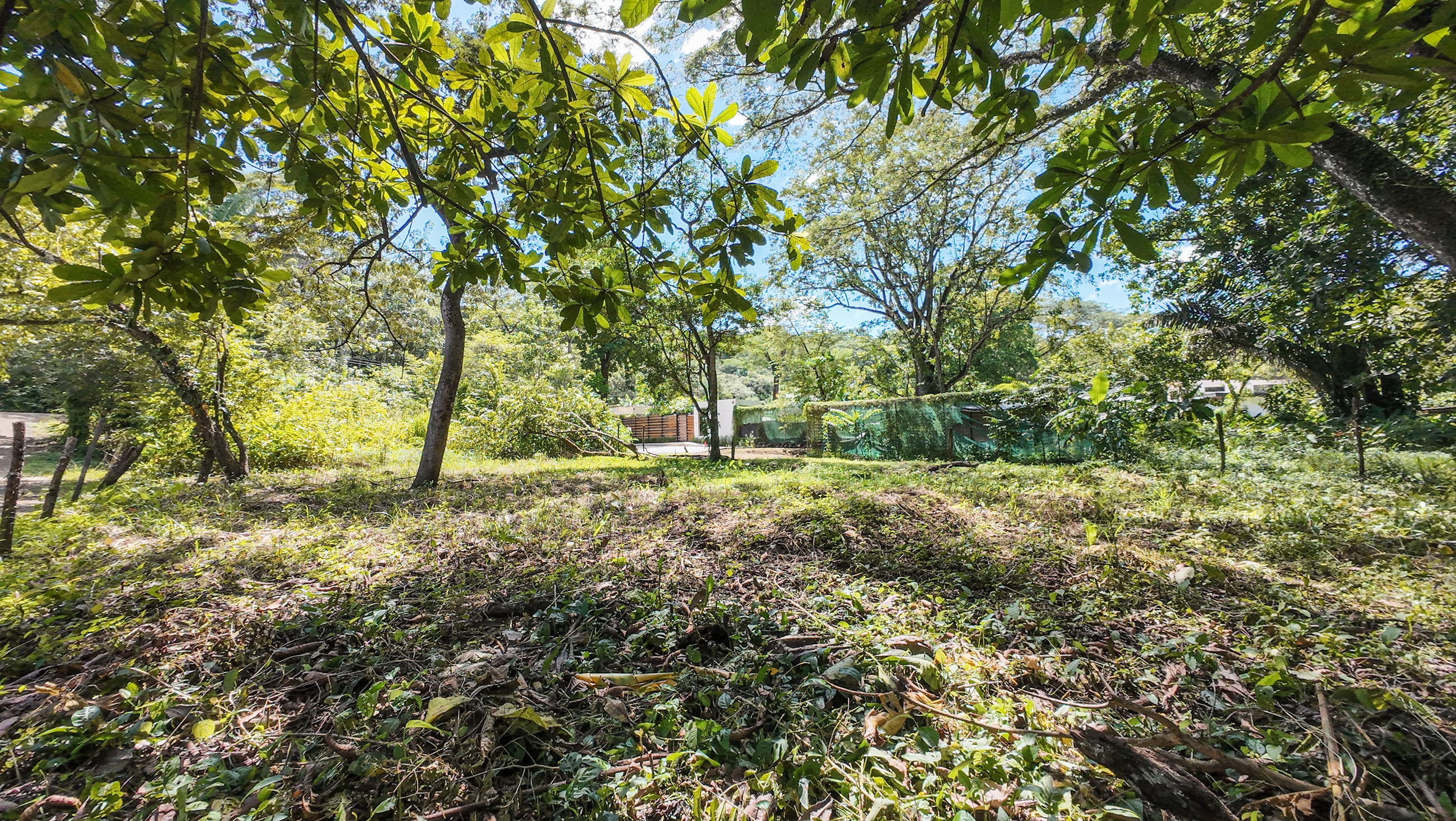 0 bed Land For Sale in Nosara, Guanacaste - thumb 6