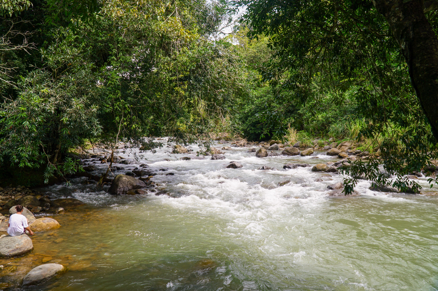 2 bed Single Family Homes For Sale in Perez Zeledon, San Jose - thumb 5