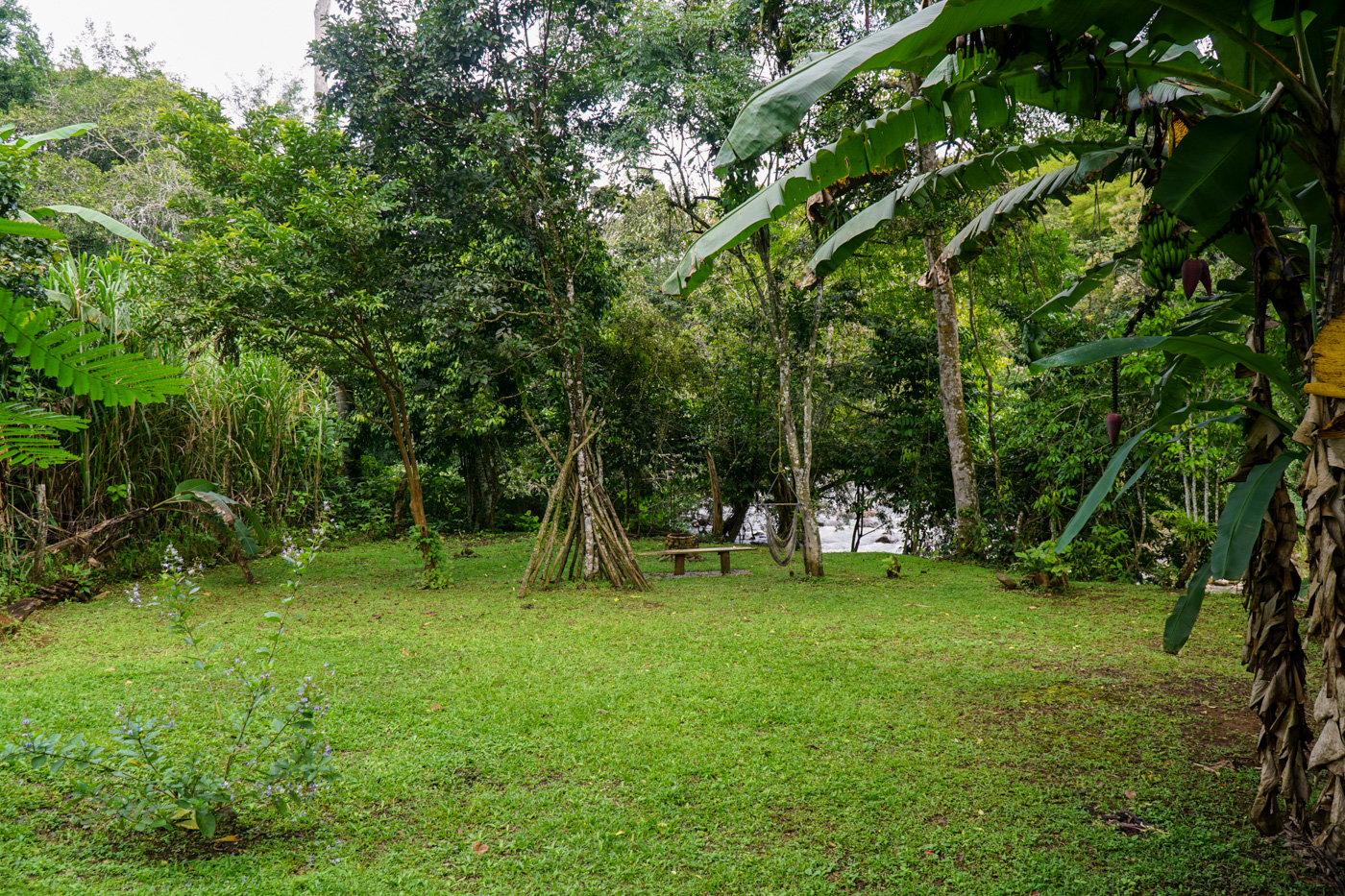 2 bed Single Family Homes For Sale in Perez Zeledon, San Jose - thumb 9