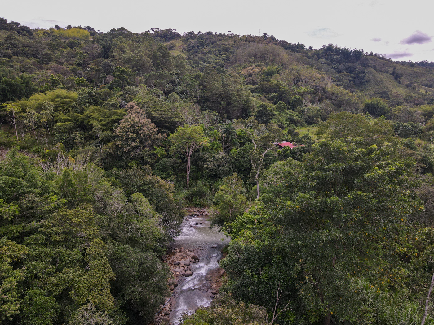 2 bed Single Family Homes For Sale in Perez Zeledon, San Jose - thumb 20