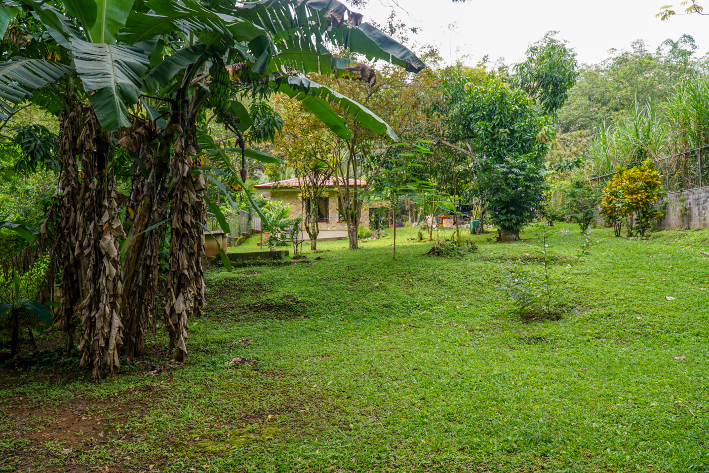 2 bed Single Family Homes For Sale in Perez Zeledon, San Jose - thumb 8