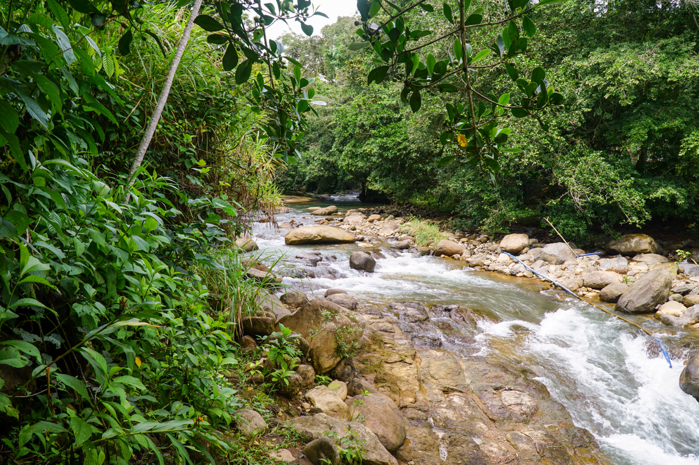 2 bed Single Family Homes For Sale in Perez Zeledon, San Jose - thumb 6