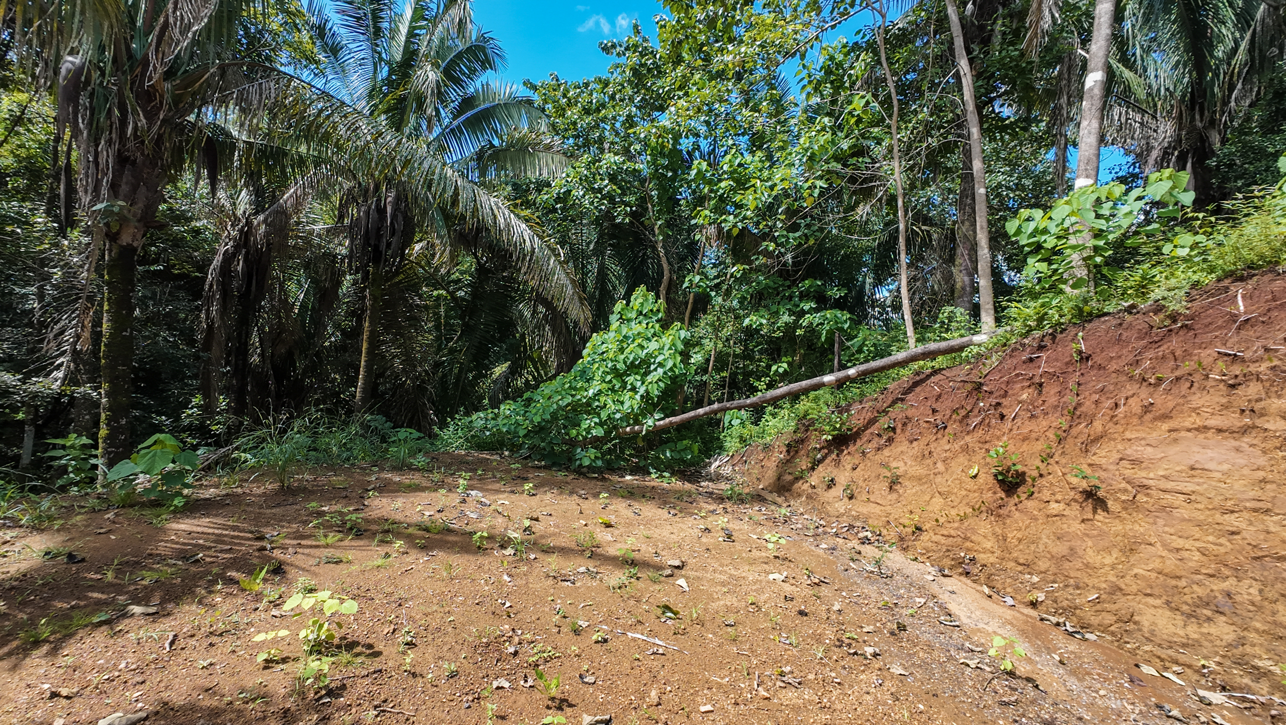 0 bed Land For Sale in Nosara, Guanacaste - thumb 8