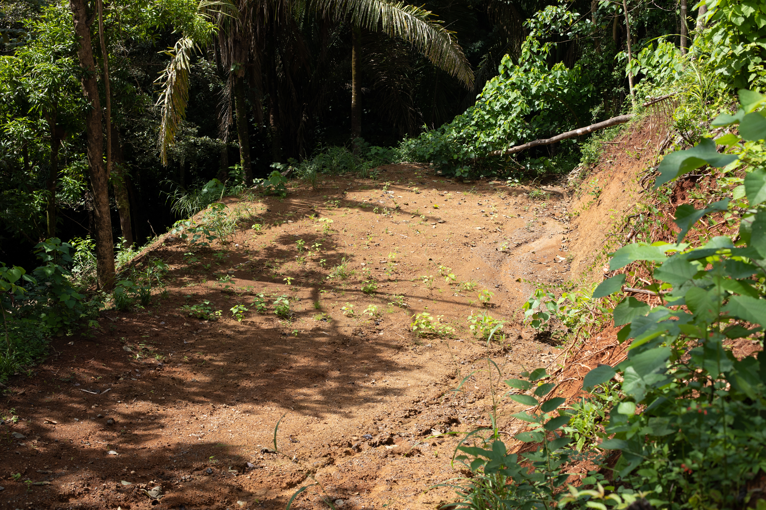 0 bed Land For Sale in Nosara, Guanacaste - thumb 3