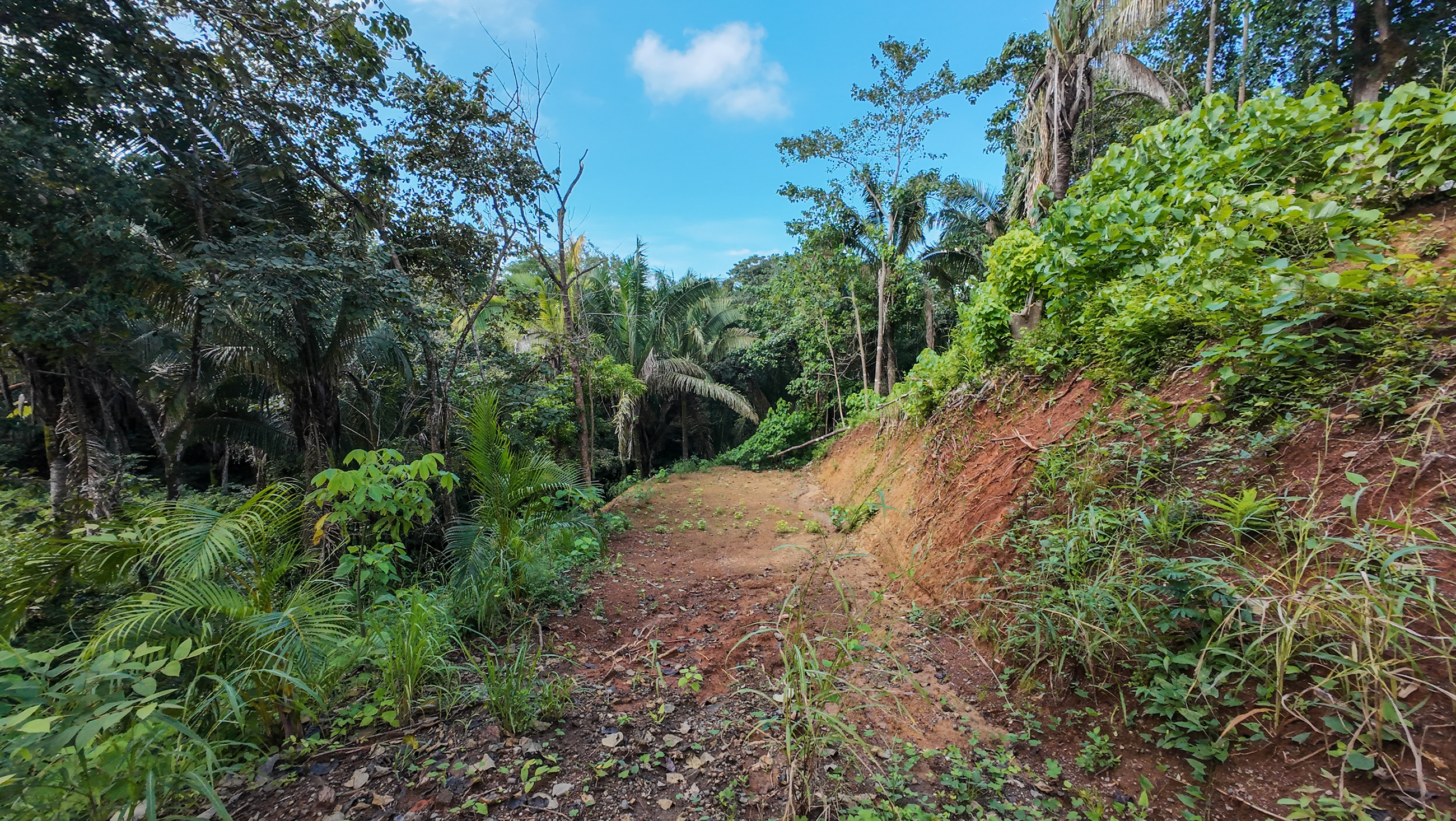 0 bed Land For Sale in Nosara, Guanacaste - thumb 5