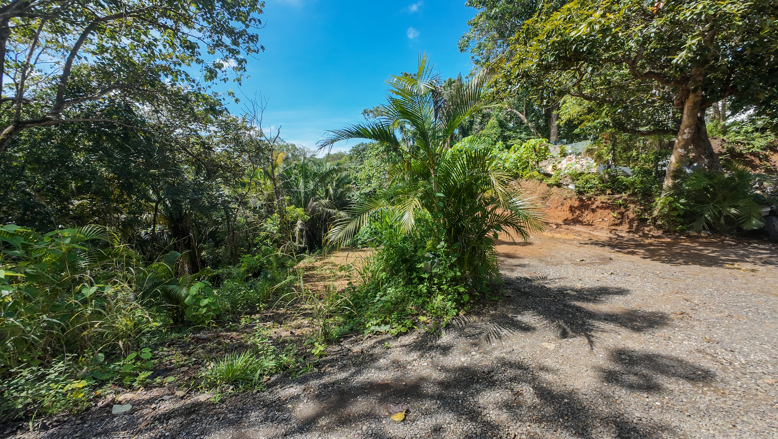 0 bed Land For Sale in Nosara, Guanacaste - thumb 13
