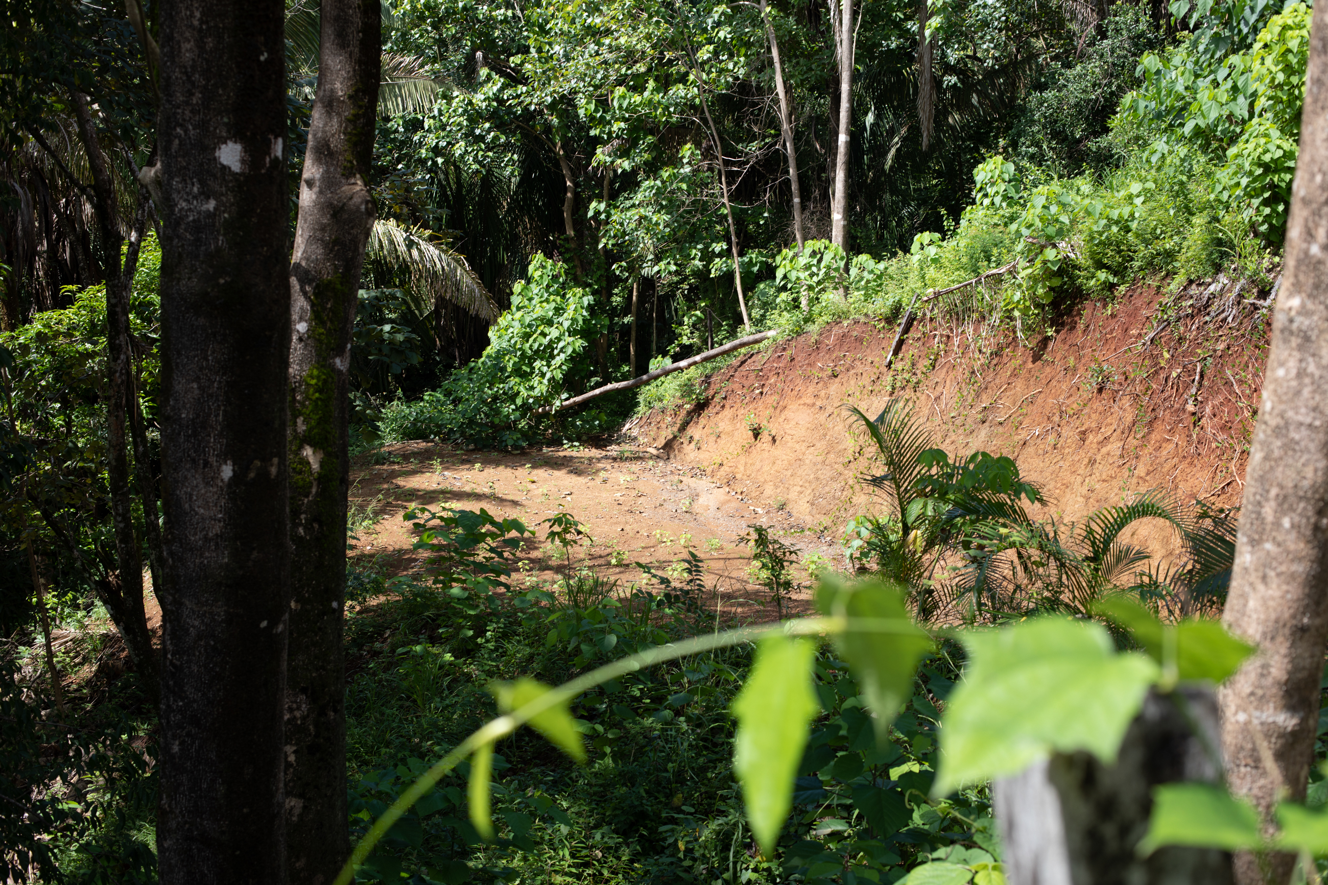 0 bed Land For Sale in Nosara, Guanacaste - thumb 2