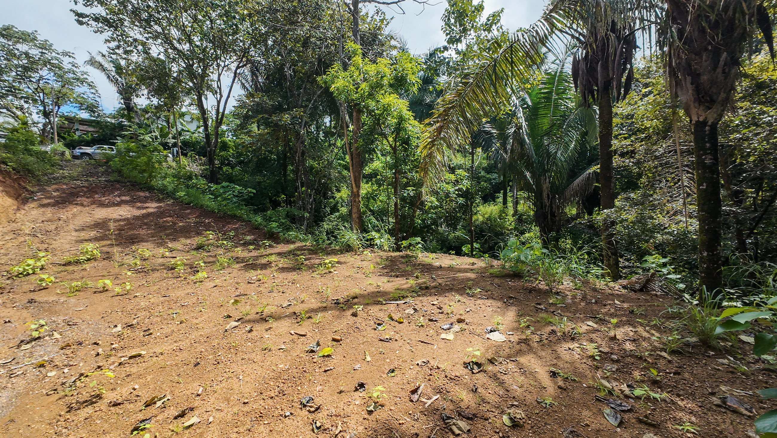 0 bed Land For Sale in Nosara, Guanacaste - thumb 10