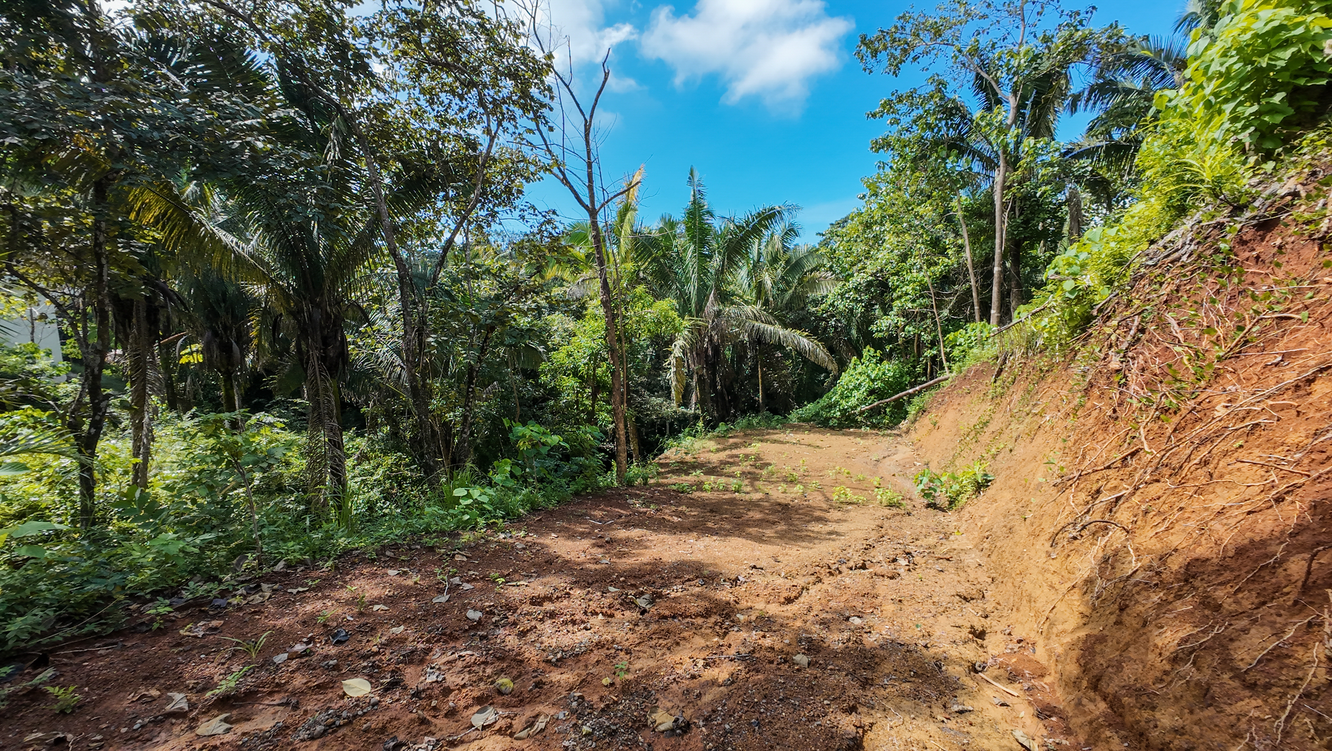 0 bed Land For Sale in Nosara, Guanacaste - thumb 6