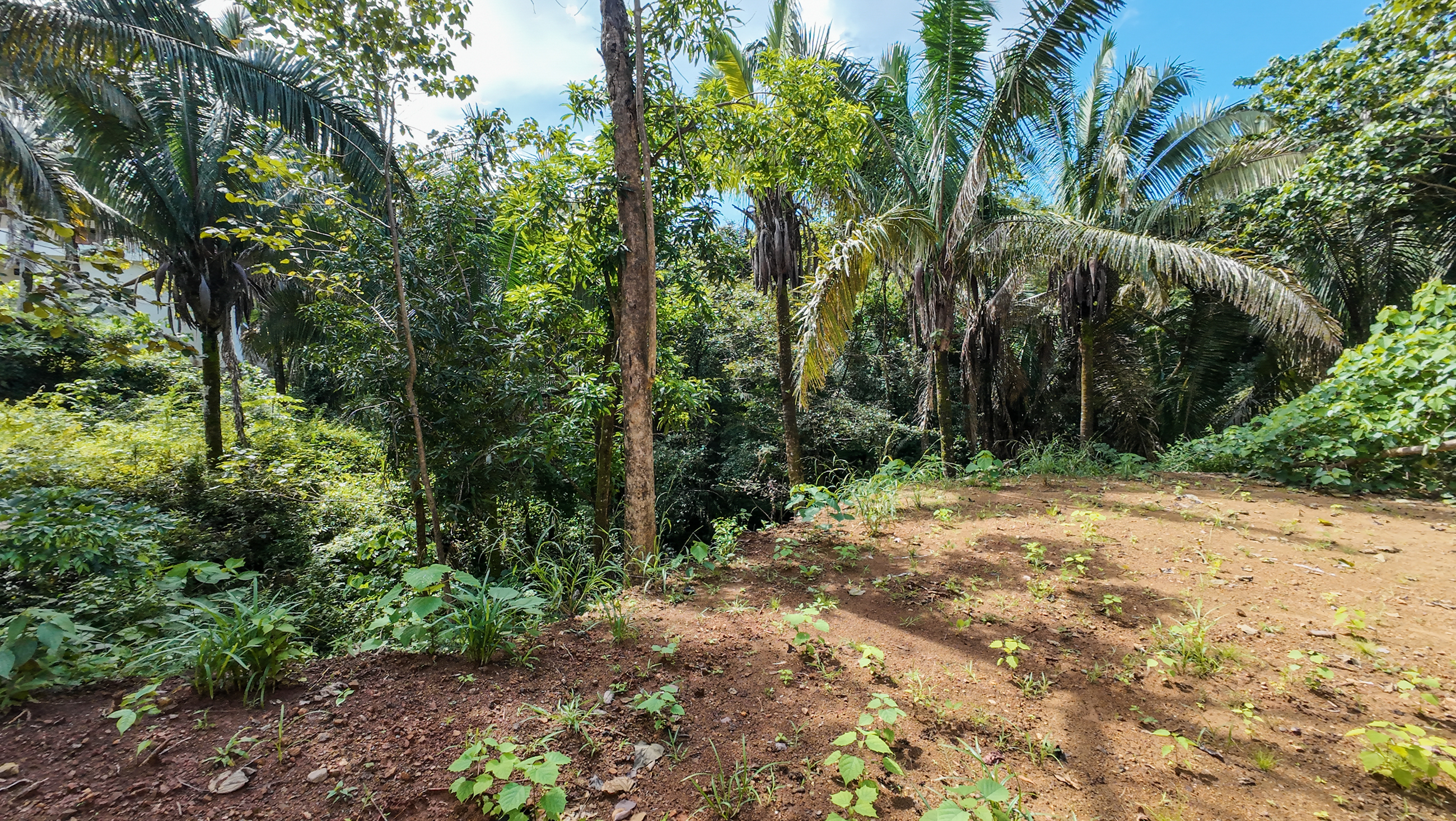0 bed Land For Sale in Nosara, Guanacaste - thumb 7