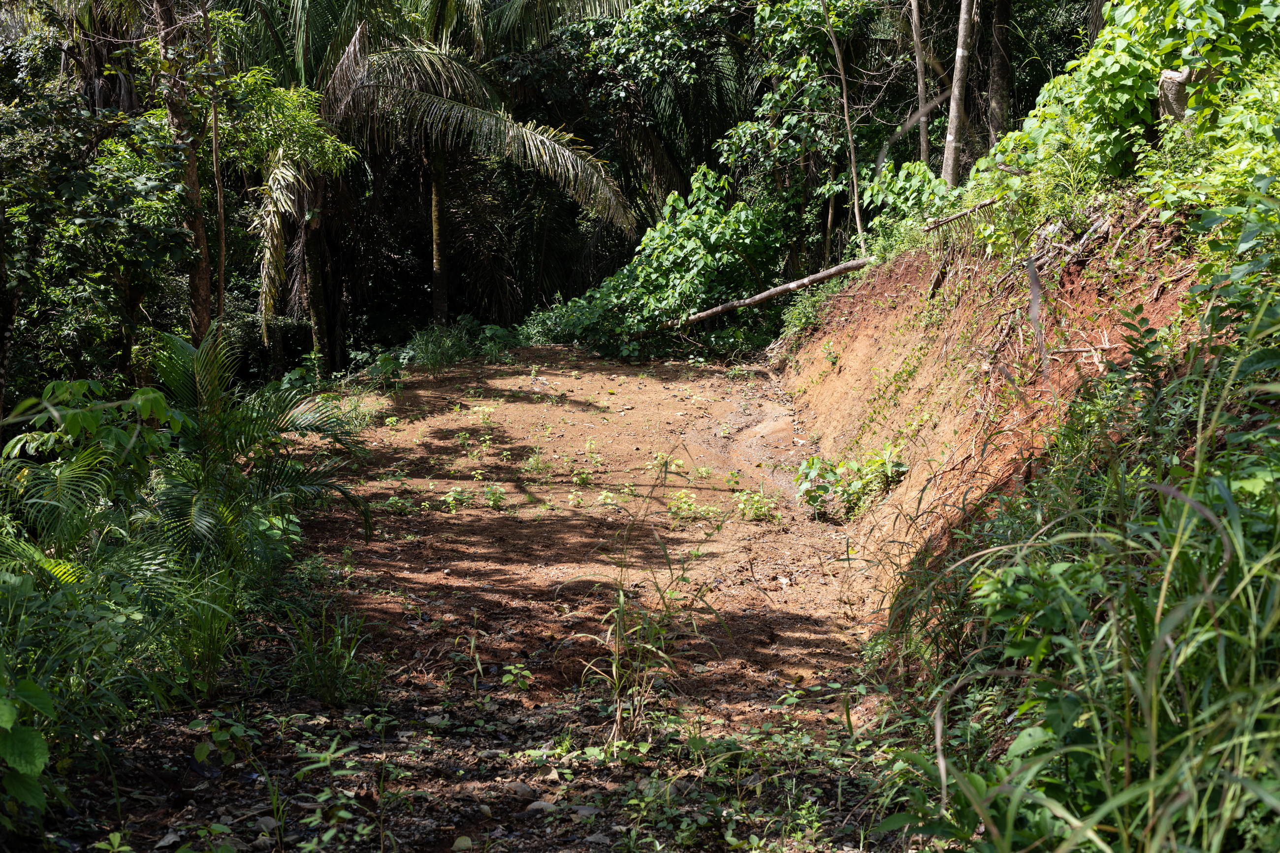 0 bed Land For Sale in Nosara, Guanacaste - thumb 1