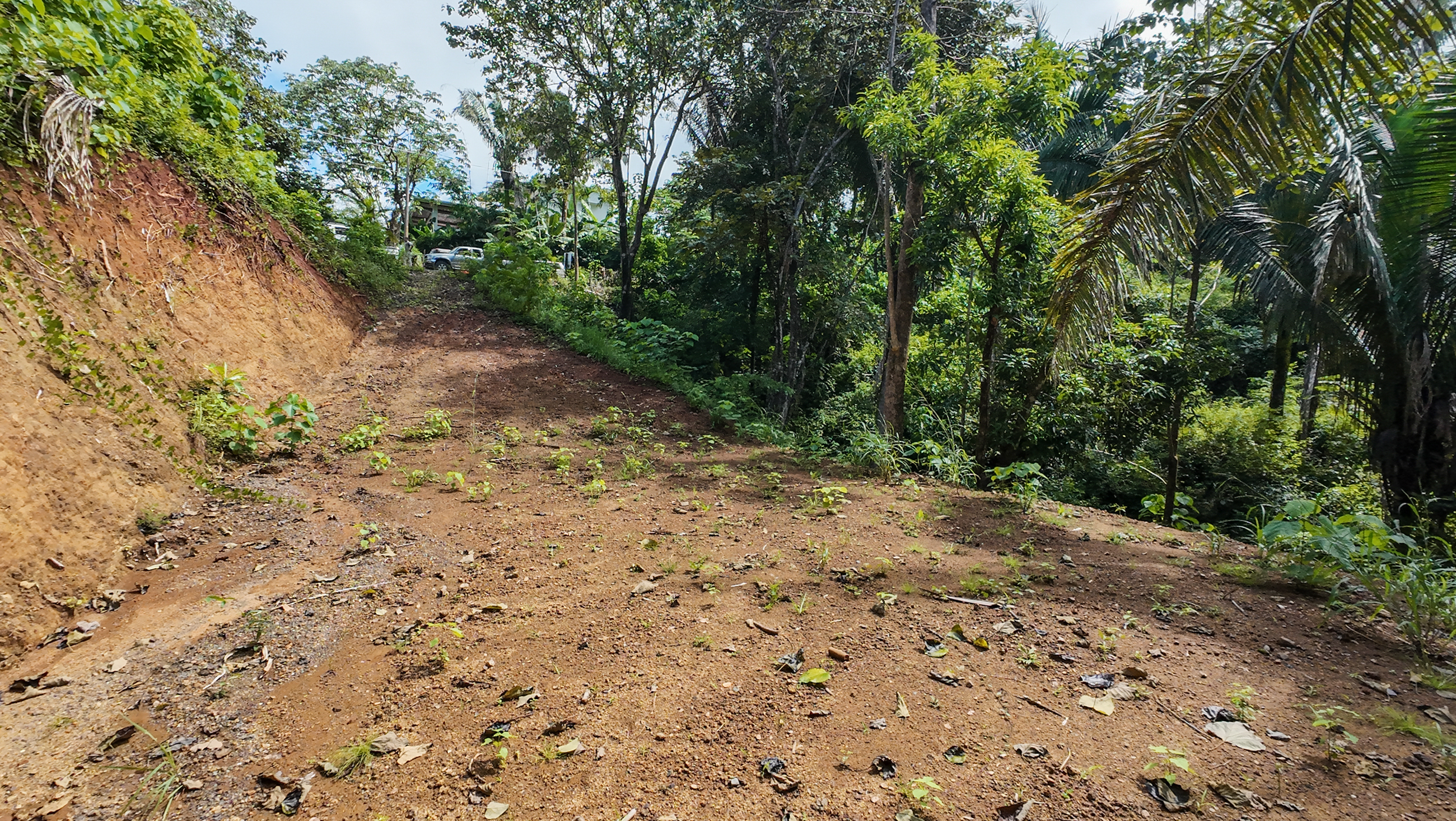 0 bed Land For Sale in Nosara, Guanacaste - thumb 9