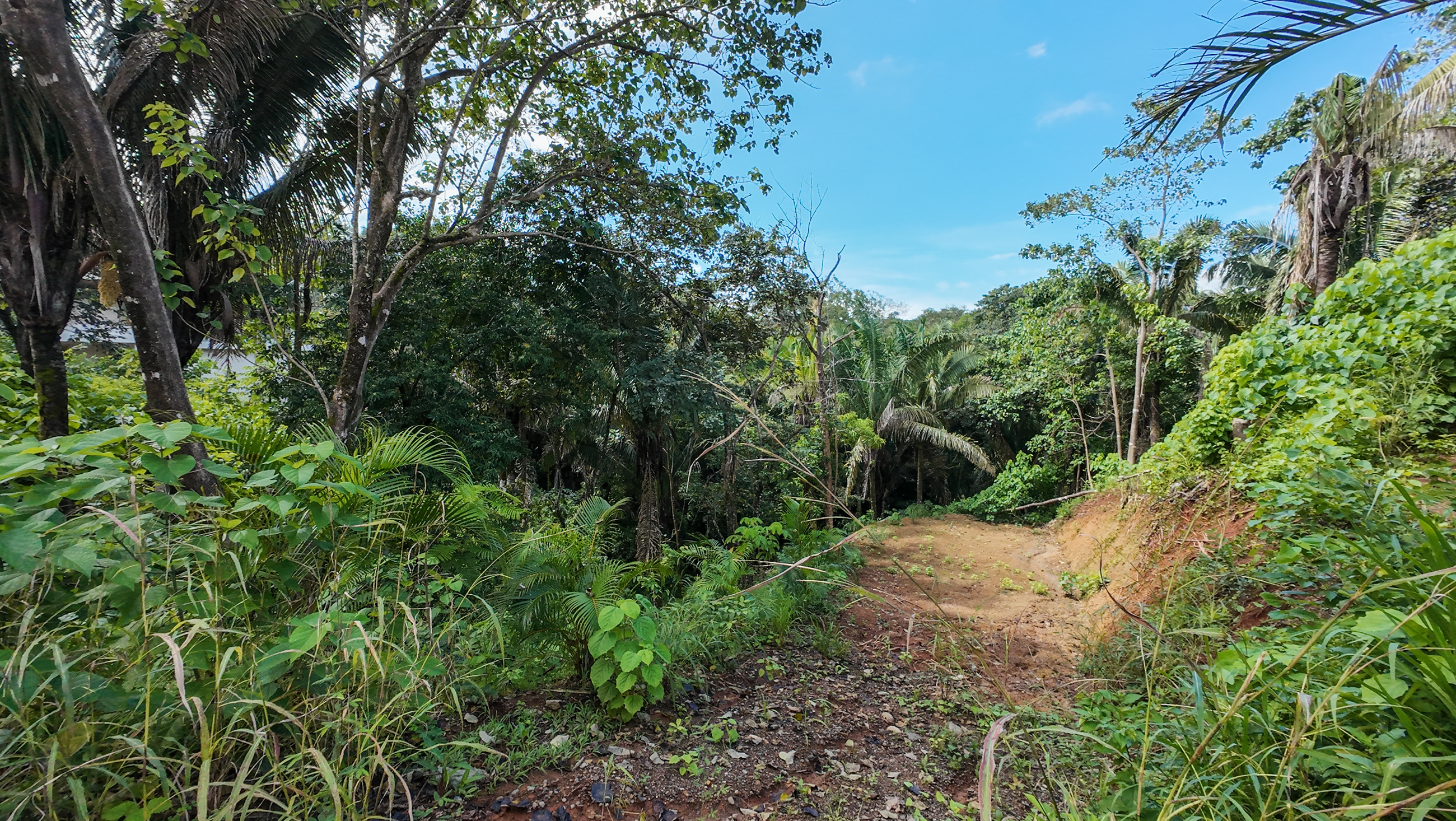 0 bed Land For Sale in Nosara, Guanacaste - thumb 4