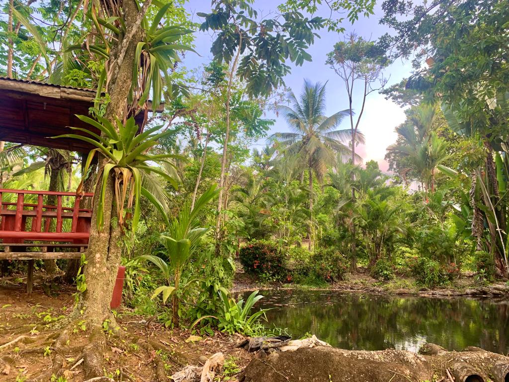 5 bed Single Family Homes For Sale in La Fortuna, Alajuela - thumb 3