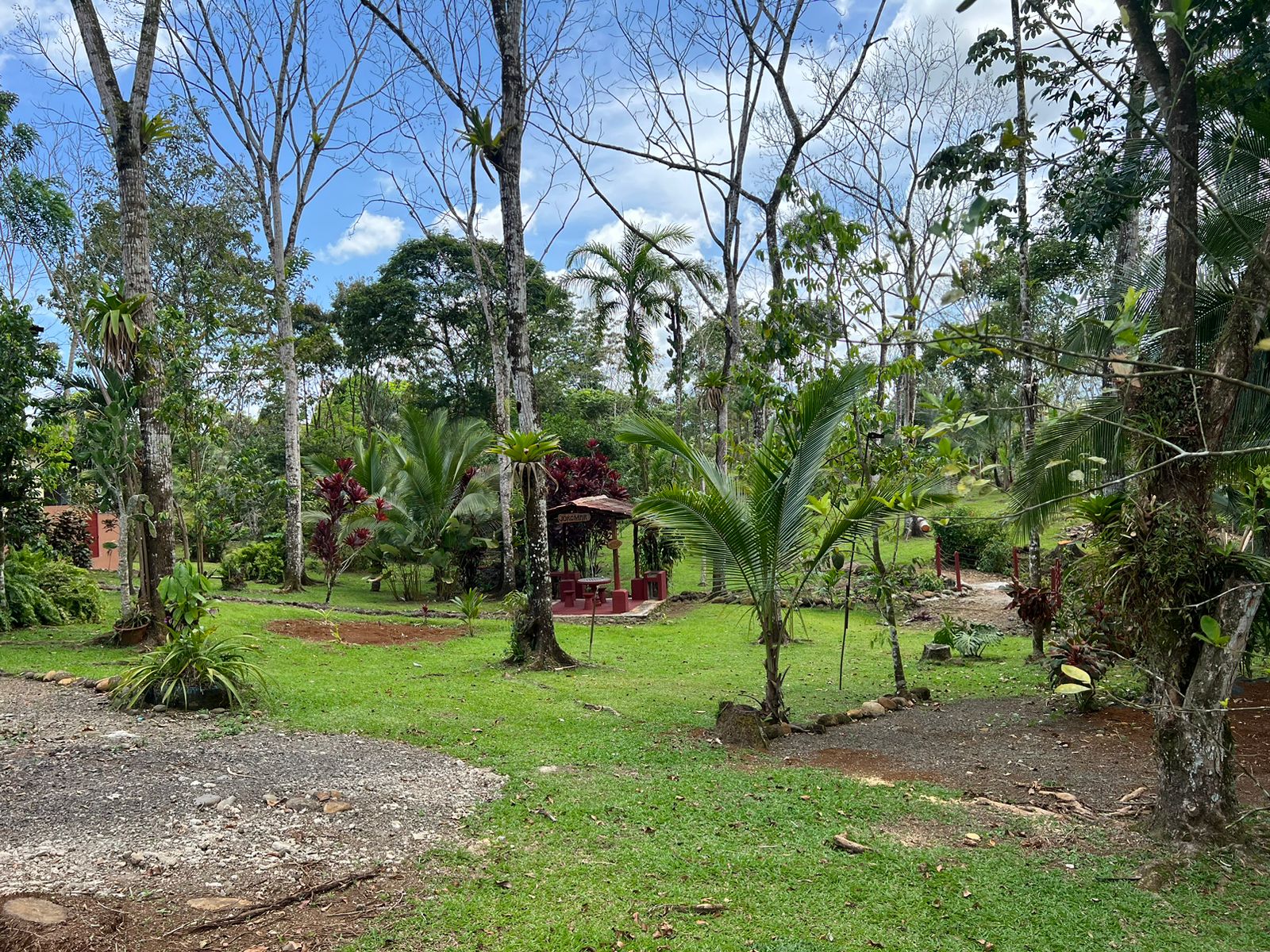 5 bed Single Family Homes For Sale in La Fortuna, Alajuela - thumb 8