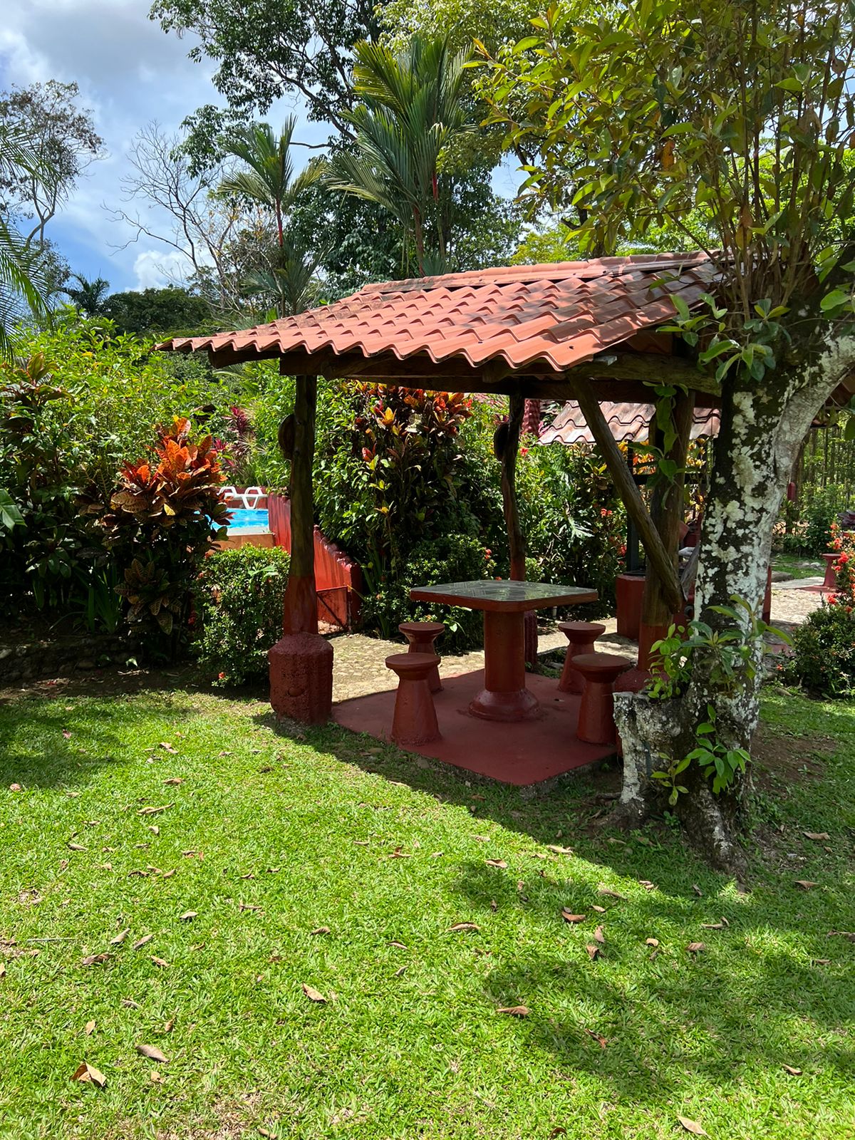 5 bed Single Family Homes For Sale in La Fortuna, Alajuela - thumb 4