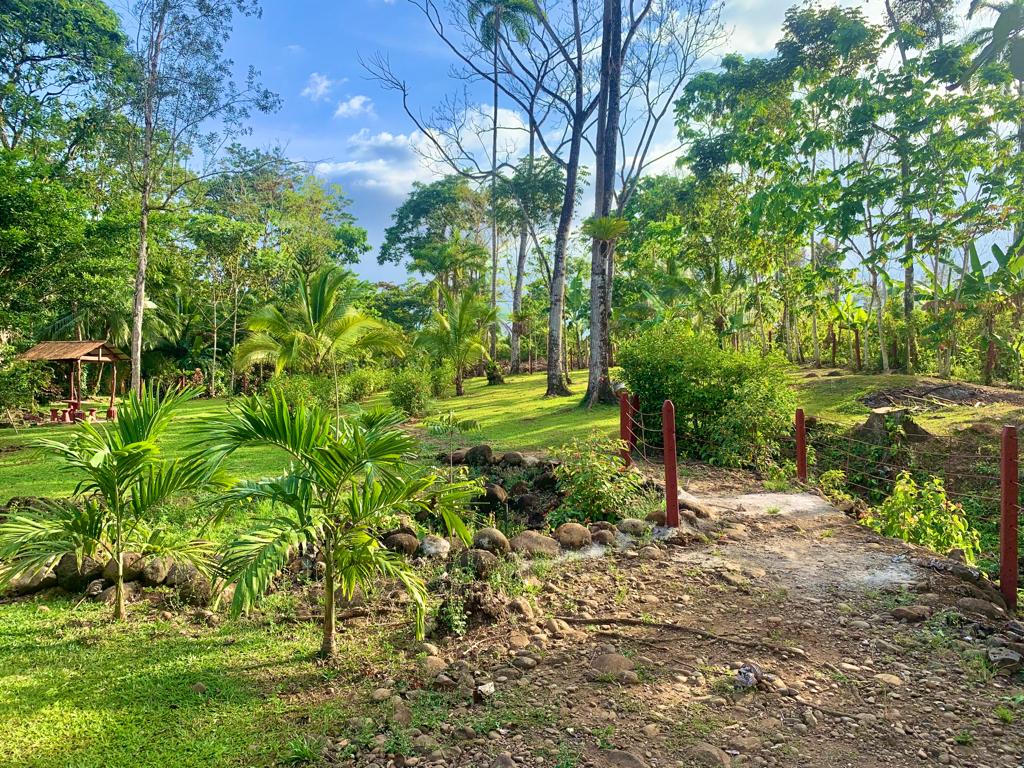 5 bed Single Family Homes For Sale in La Fortuna, Alajuela - thumb 17