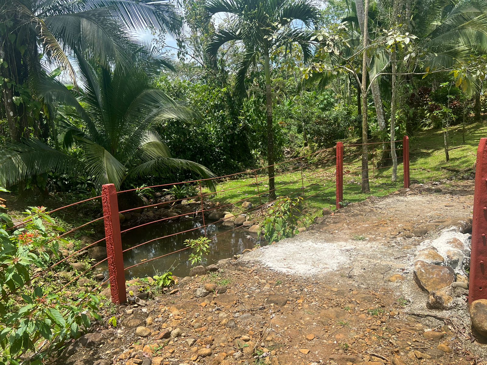 5 bed Single Family Homes For Sale in La Fortuna, Alajuela - thumb 19