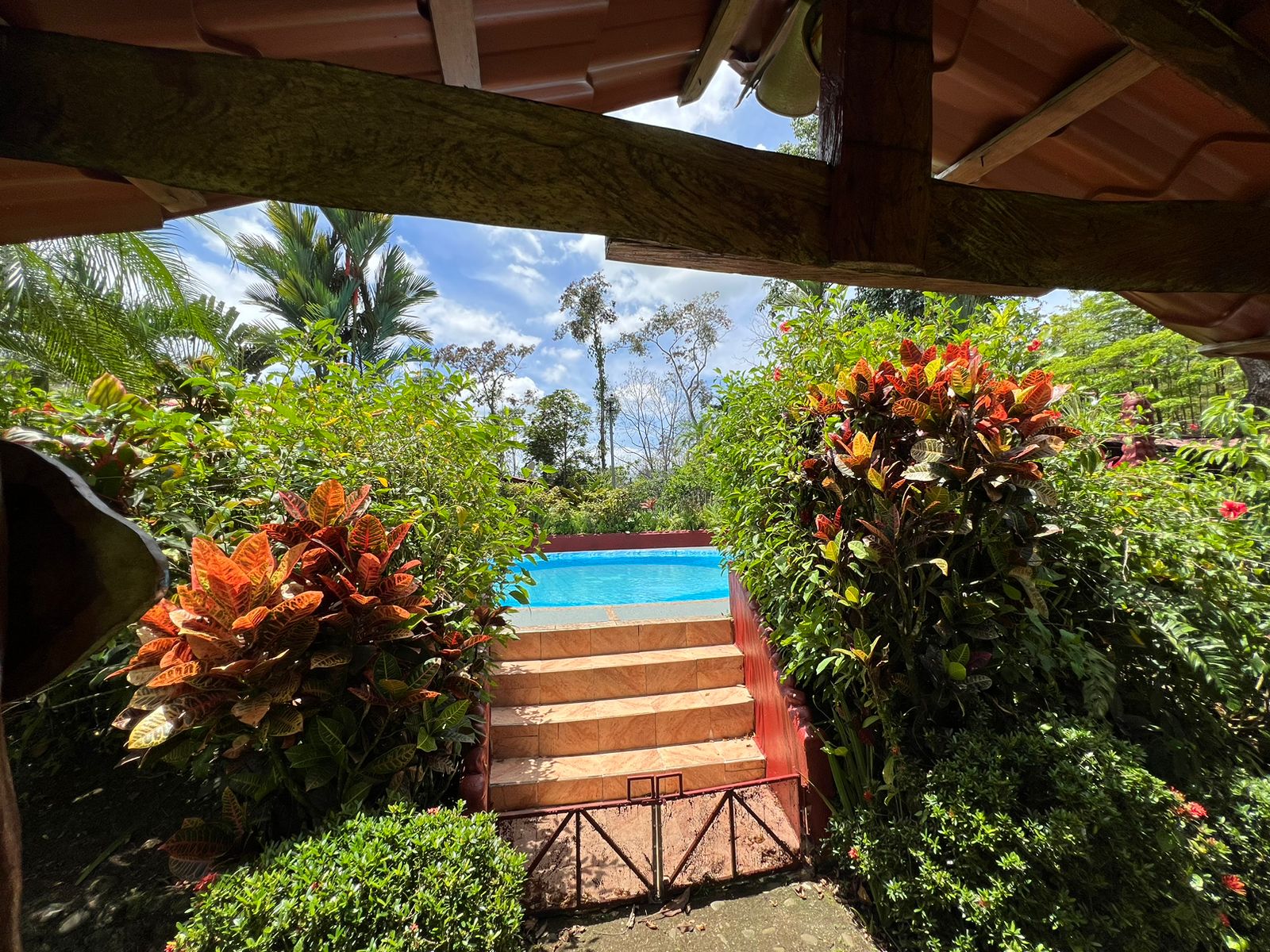 5 bed Single Family Homes For Sale in La Fortuna, Alajuela - thumb 9