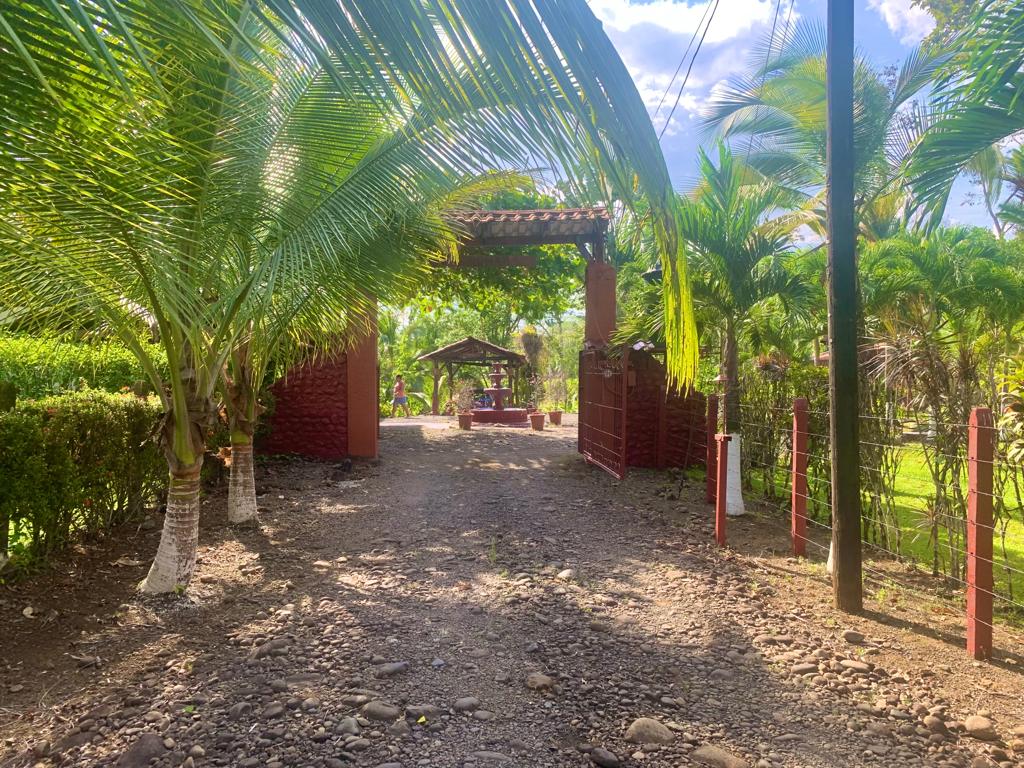 5 bed Single Family Homes For Sale in La Fortuna, Alajuela - thumb 12