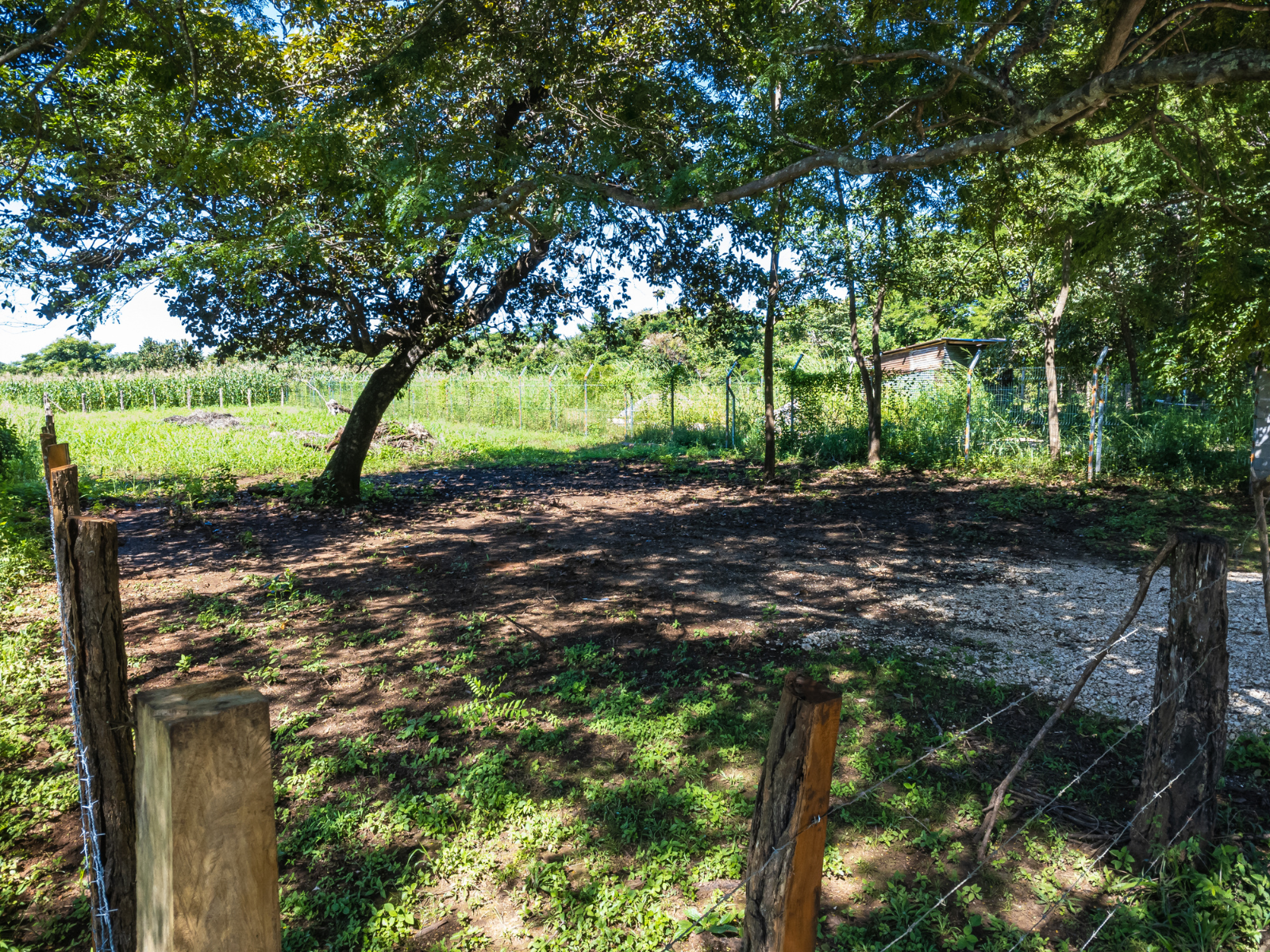 0 bed Land For Sale in Playa Negra, Guanacaste - thumb 13