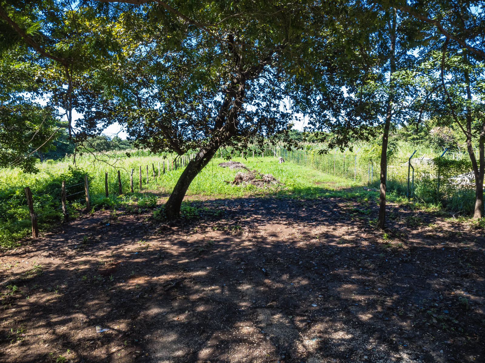 0 bed Land For Sale in Playa Negra, Guanacaste - thumb 12