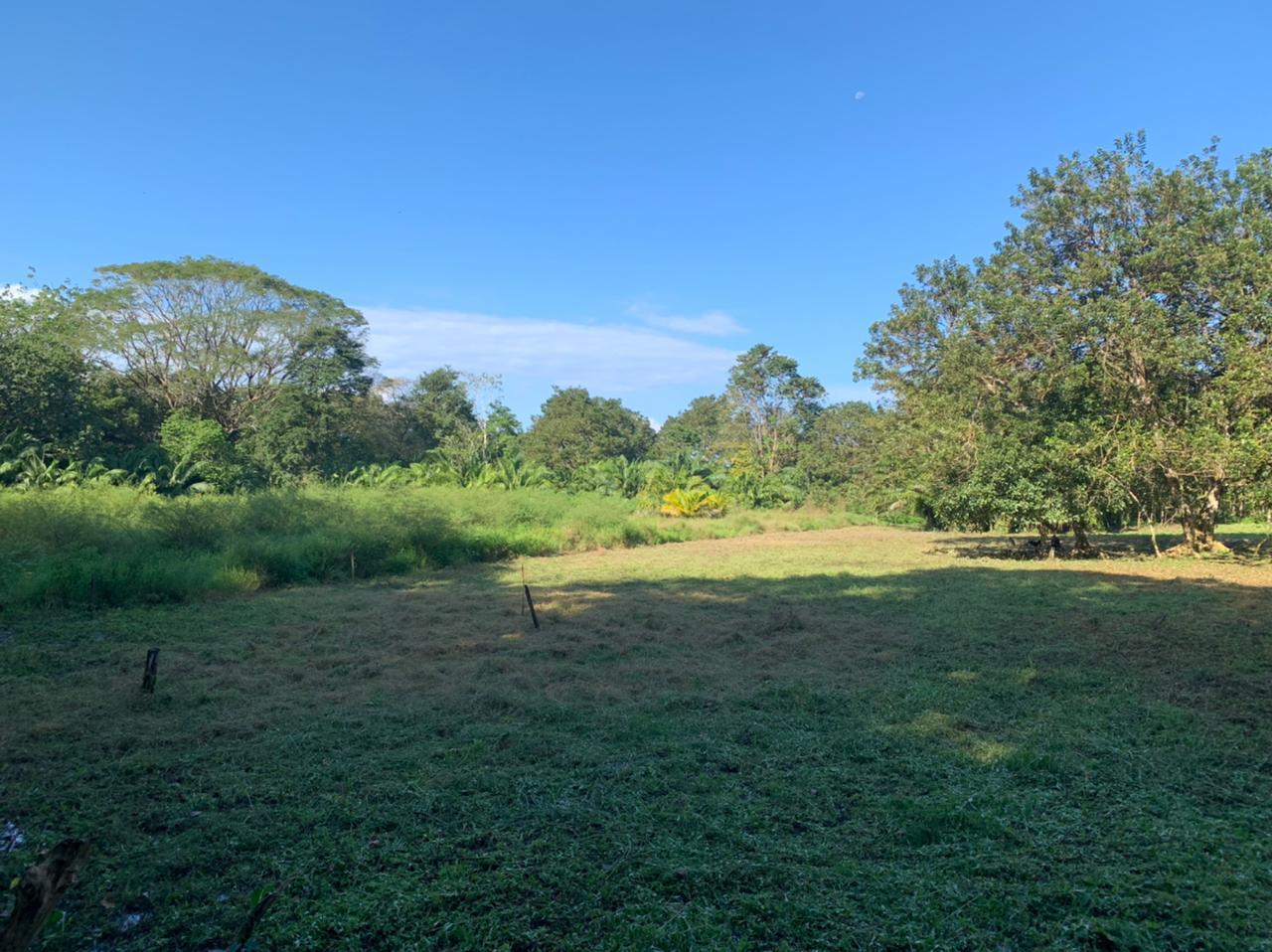 0 bed Land For Sale in Uvita, Puntarenas - thumb 1