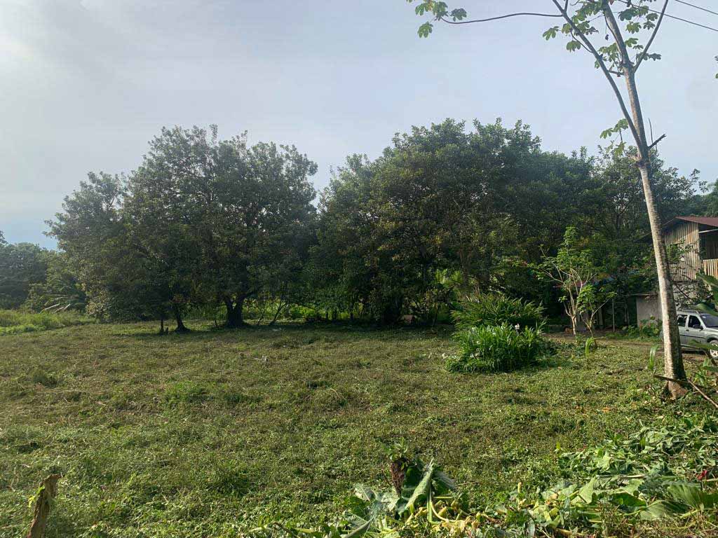 0 bed Land For Sale in Uvita, Puntarenas - thumb 9