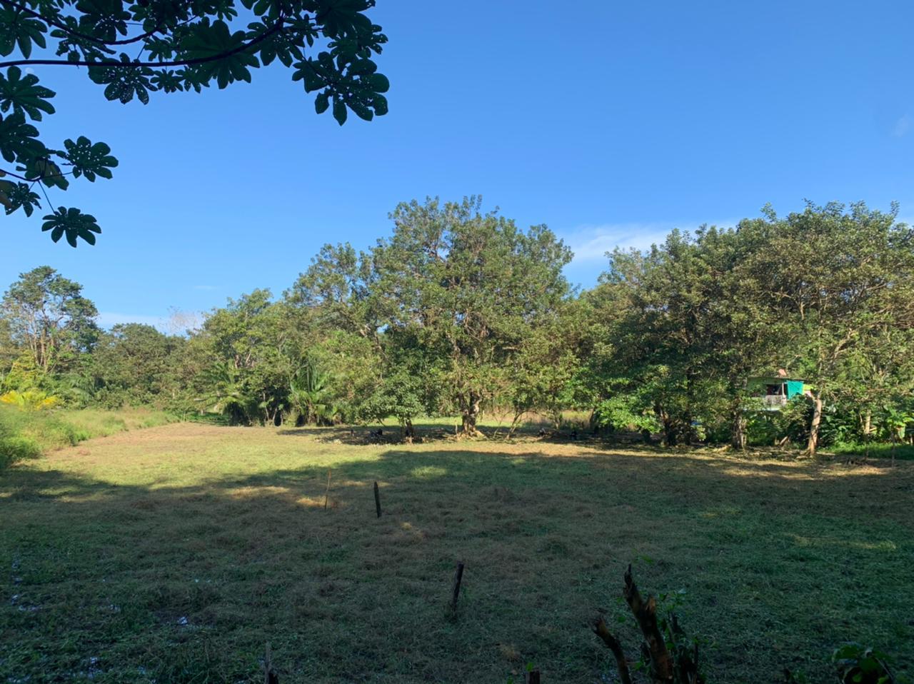 0 bed Land For Sale in Uvita, Puntarenas - thumb 2