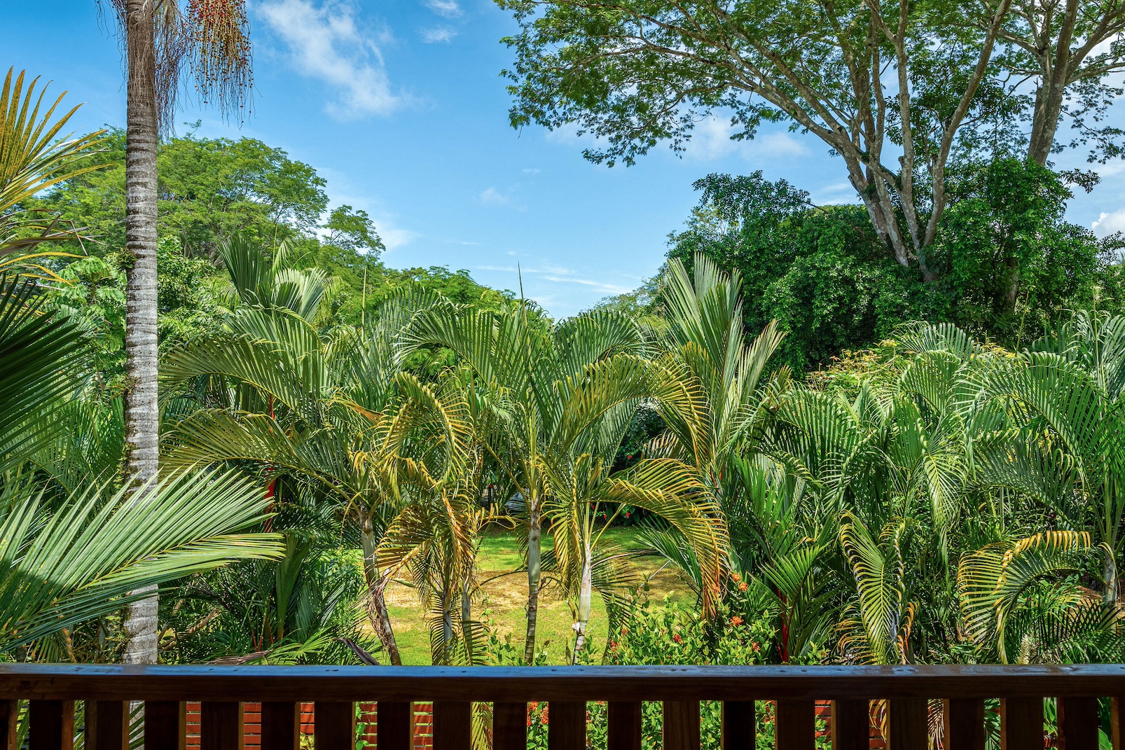 3 bed Single Family Homes For Sale in Dominical, Puntarenas - thumb 28