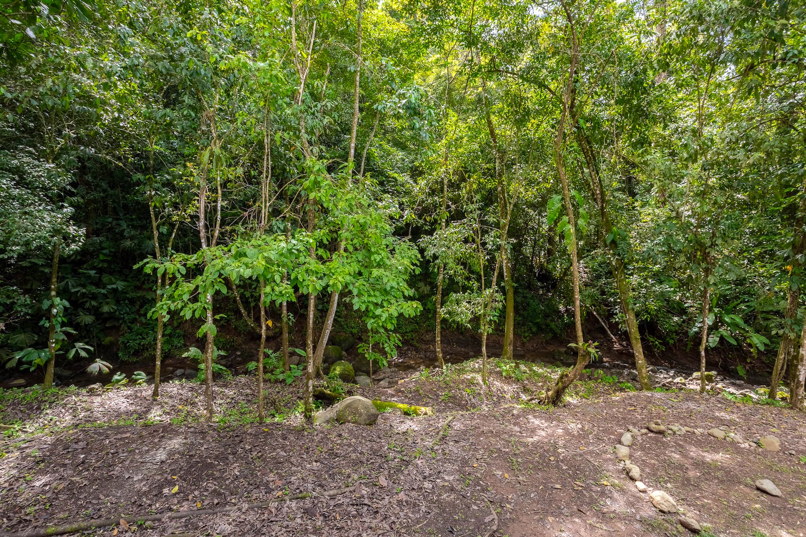 3 bed Single Family Homes For Sale in Uvita, Puntarenas - thumb 23