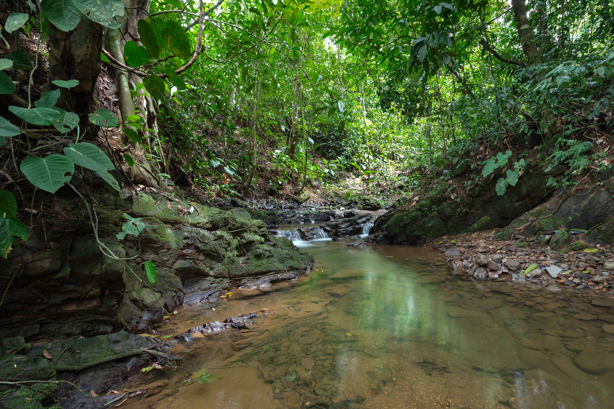 3 bed Single Family Homes For Sale in Uvita, Puntarenas - thumb 10