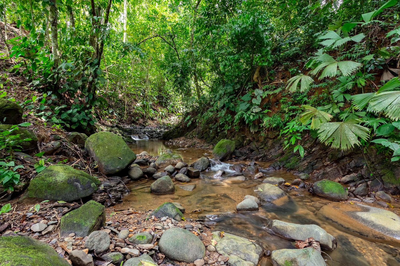 3 bed Single Family Homes For Sale in Uvita, Puntarenas - thumb 7