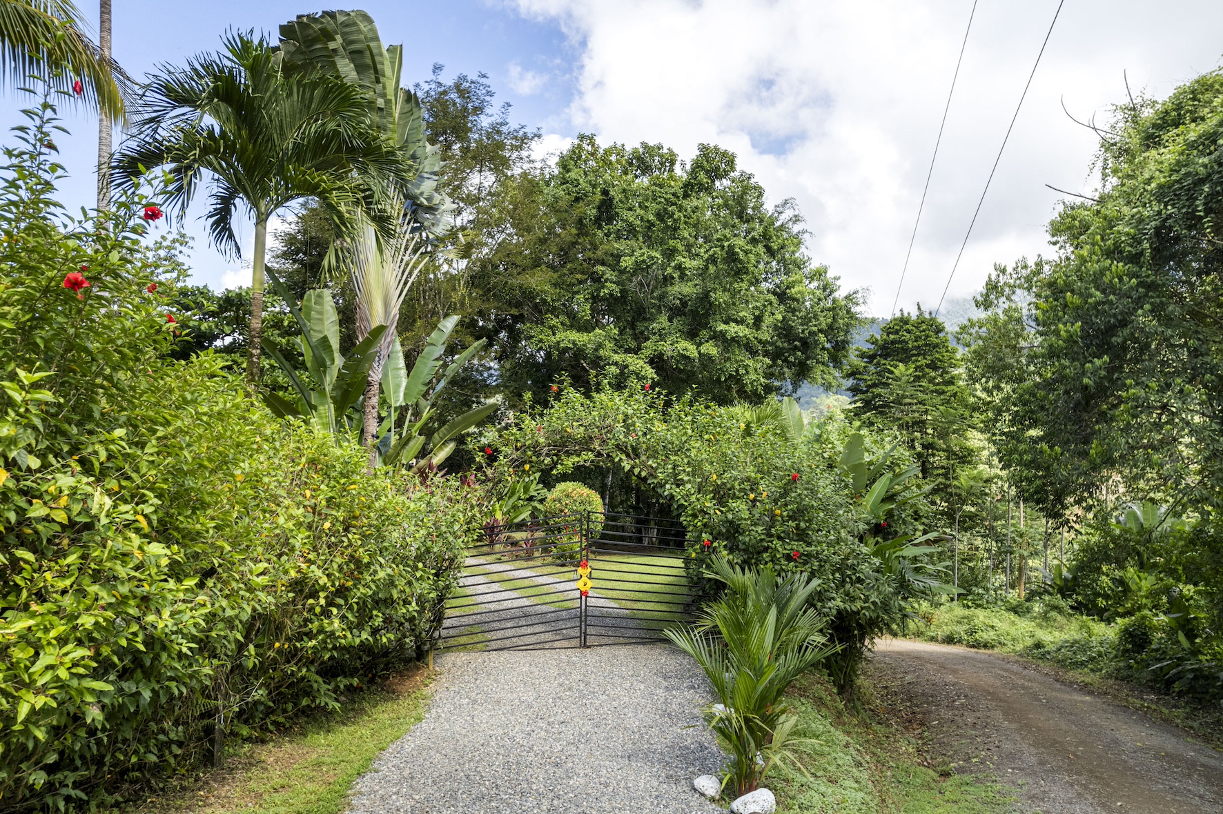 1 bed Single Family Homes For Sale in Ojochal, Puntarenas - thumb 20