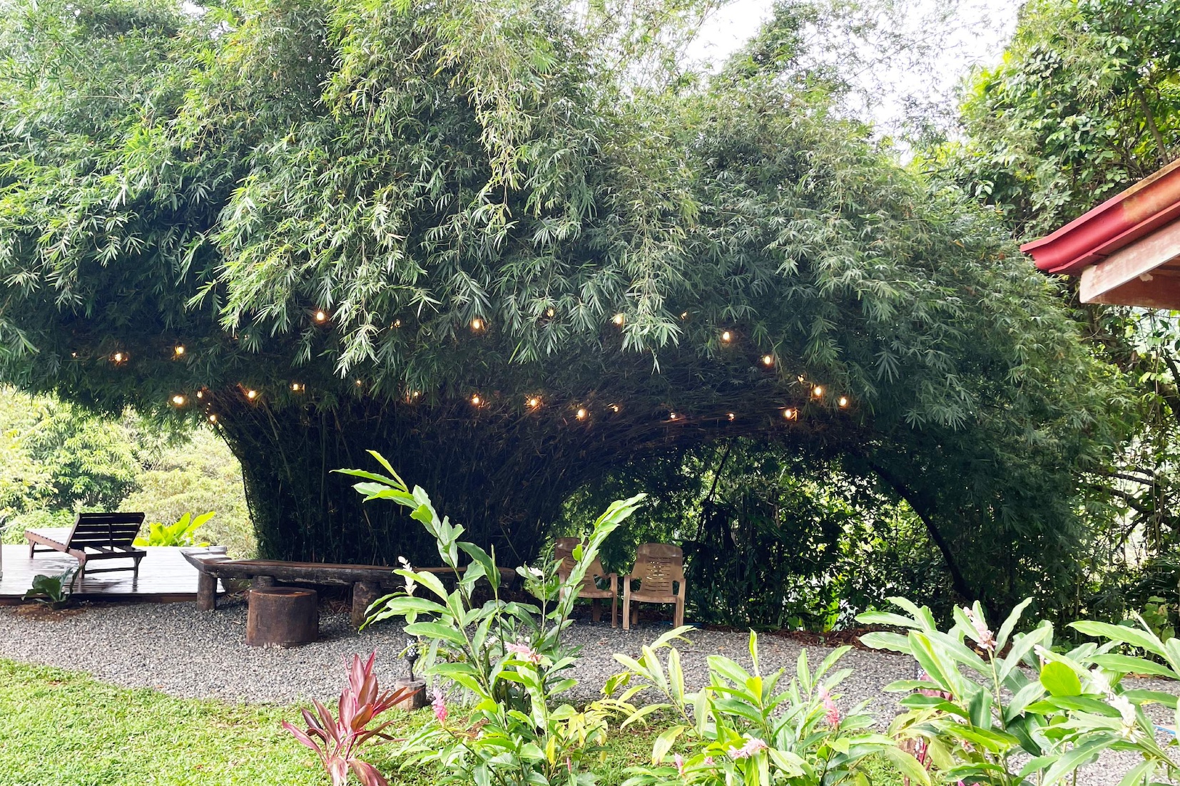 1 bed Single Family Homes For Sale in Ojochal, Puntarenas - thumb 11